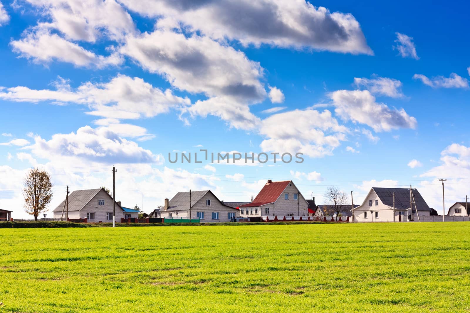 farm houses on the field