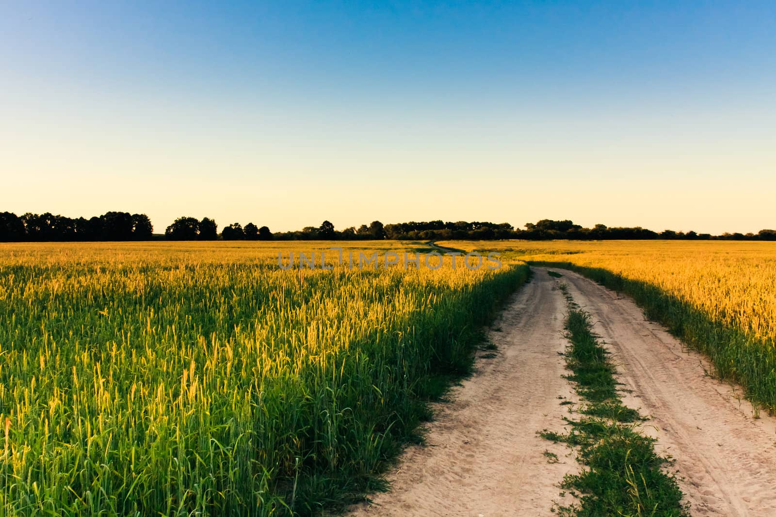 Dirty rural road in countryside