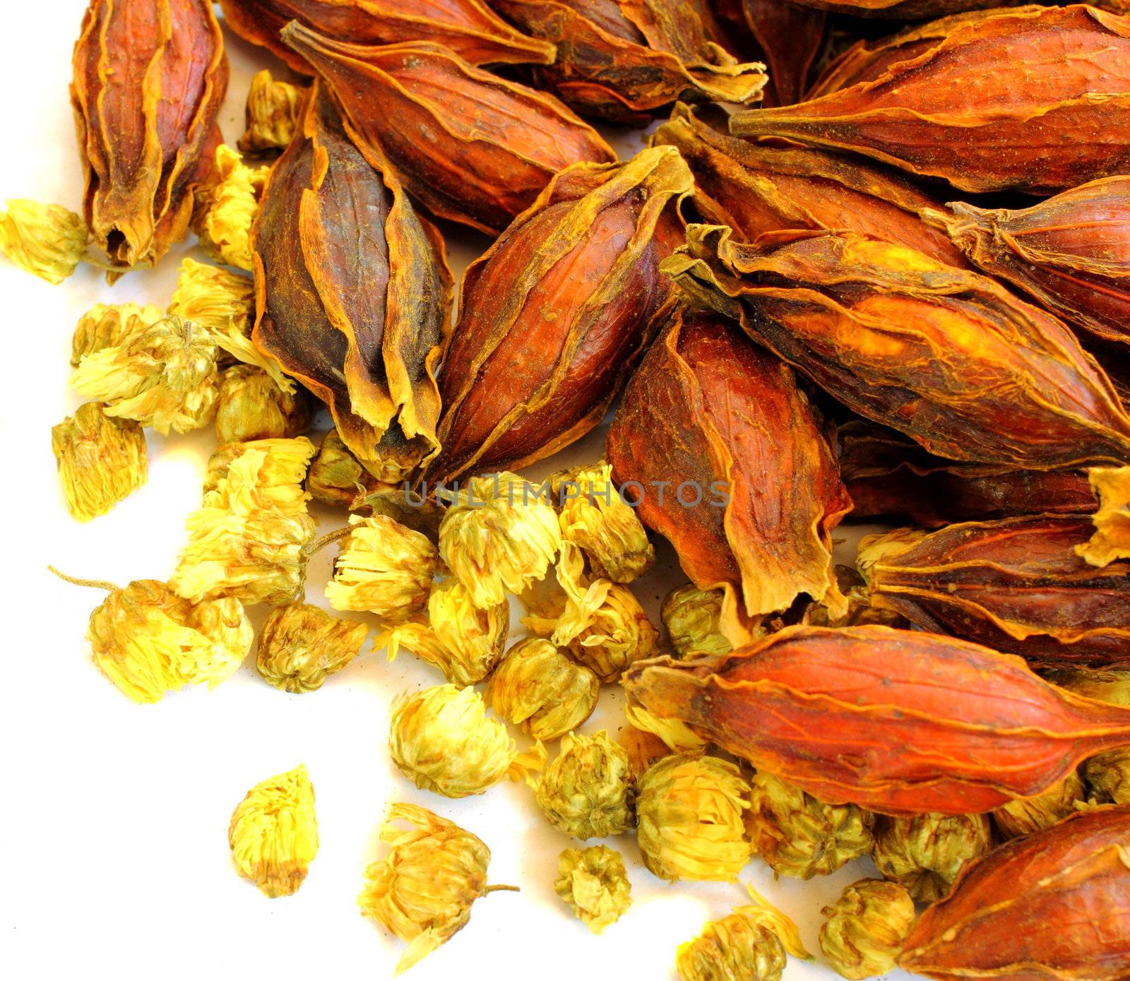 Dried chrysanthemum flowers and seed