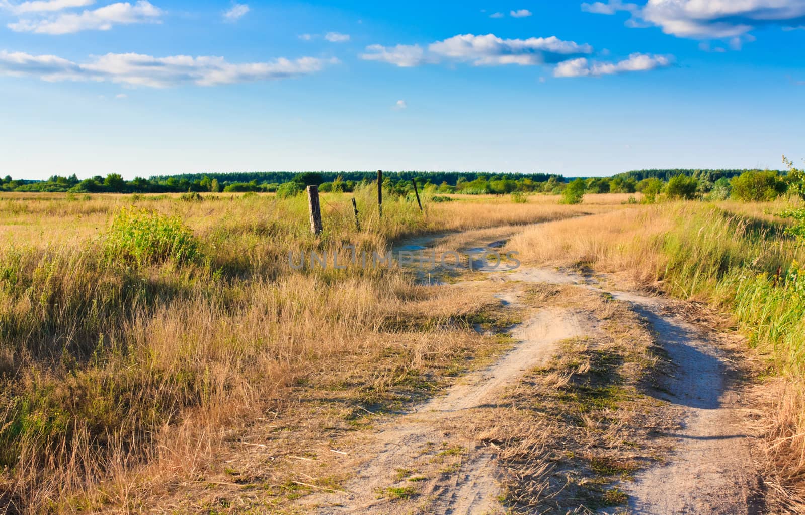 Dirty rural road in countryside