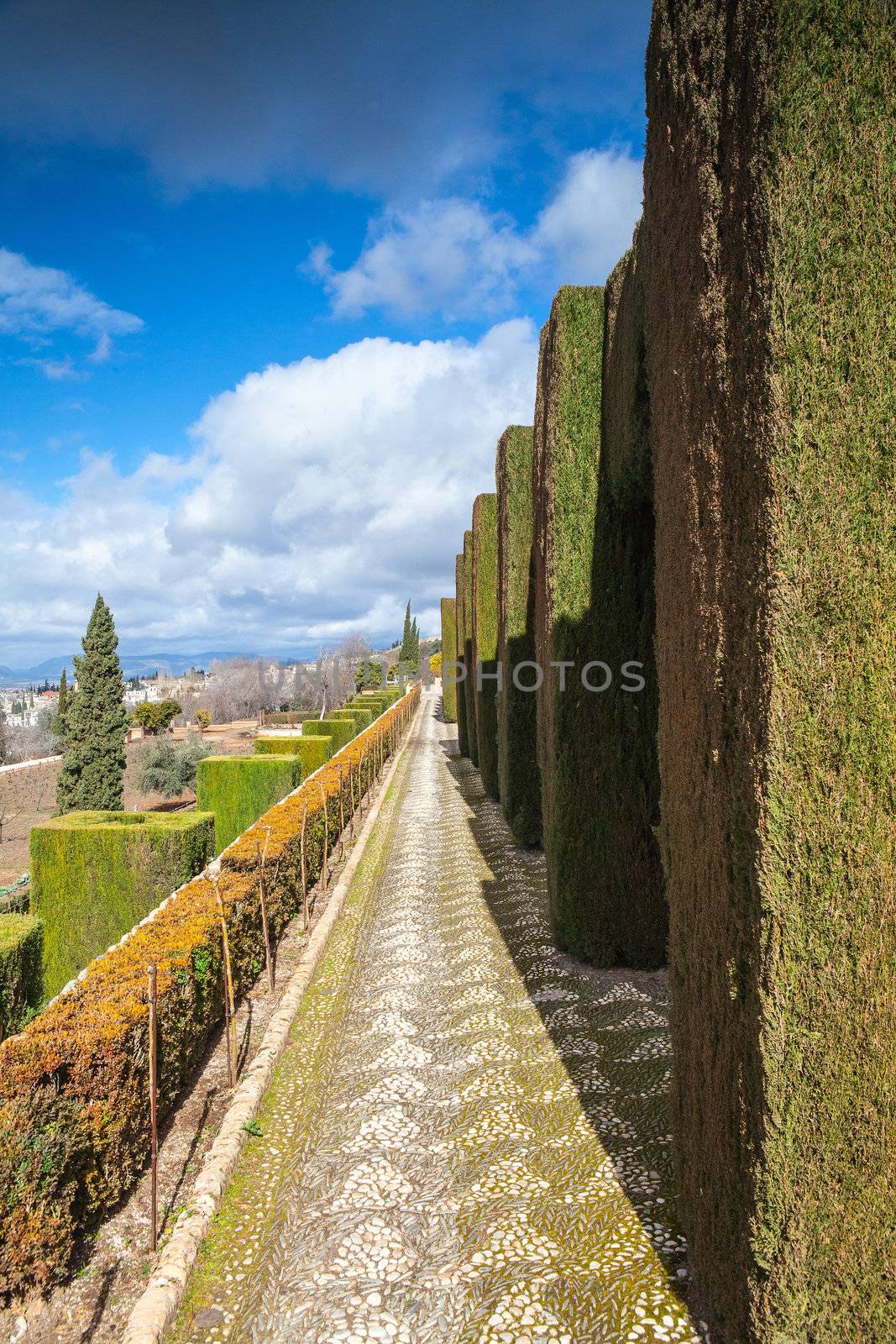 Gardens of La Alhambra in Granada, Spain