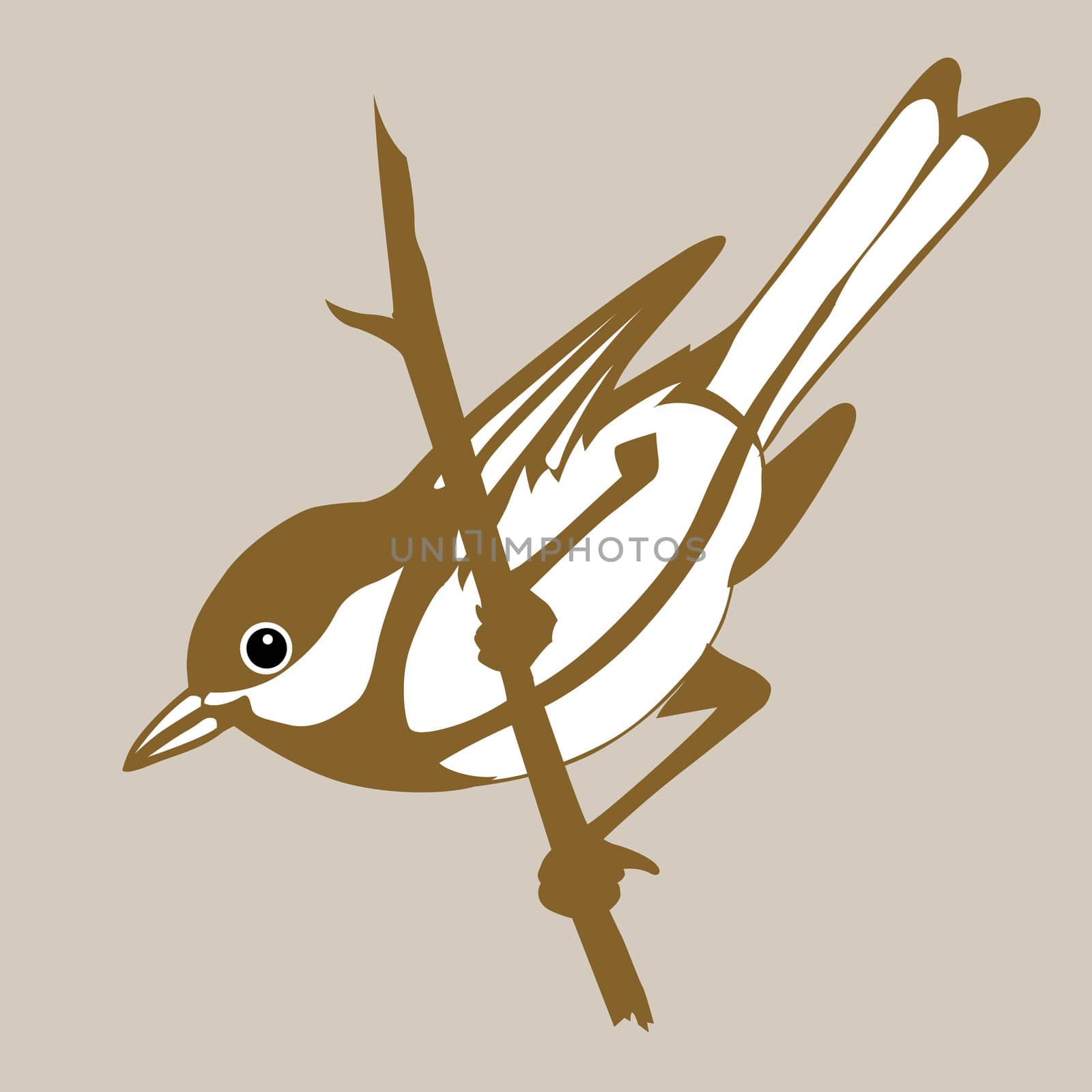 bird silhouette on brown background, vector illustration