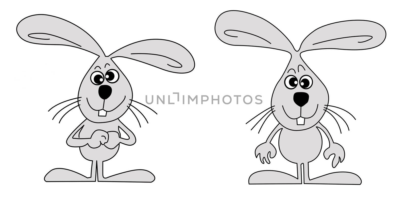 vector drawing hare on white background