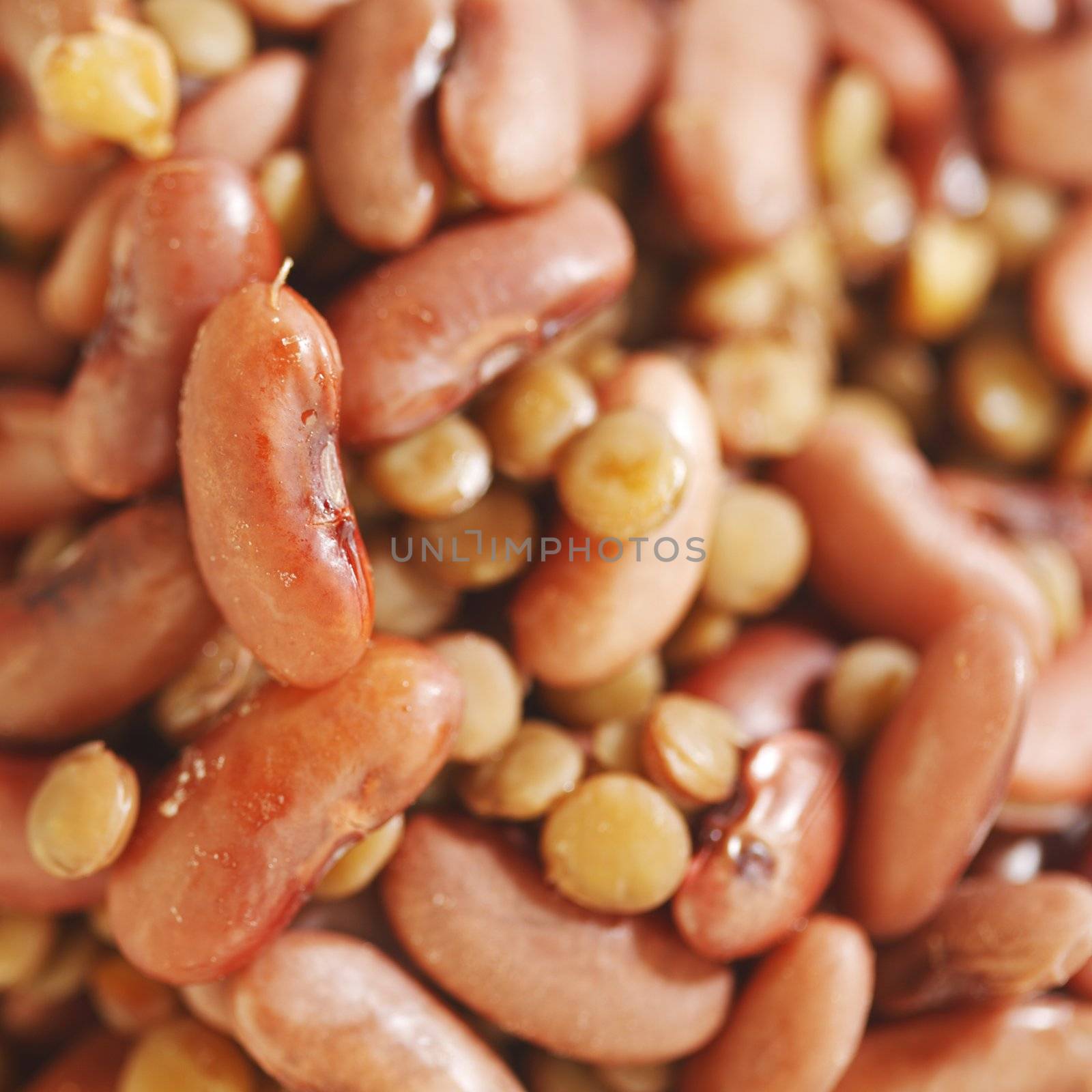 Cooked red beans and lentils close-up