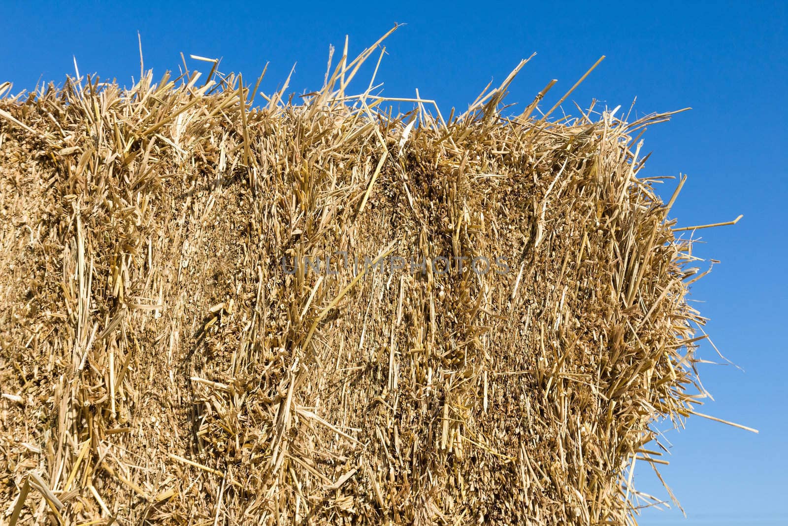 Field with bales of hay or straw countryside at harvest time