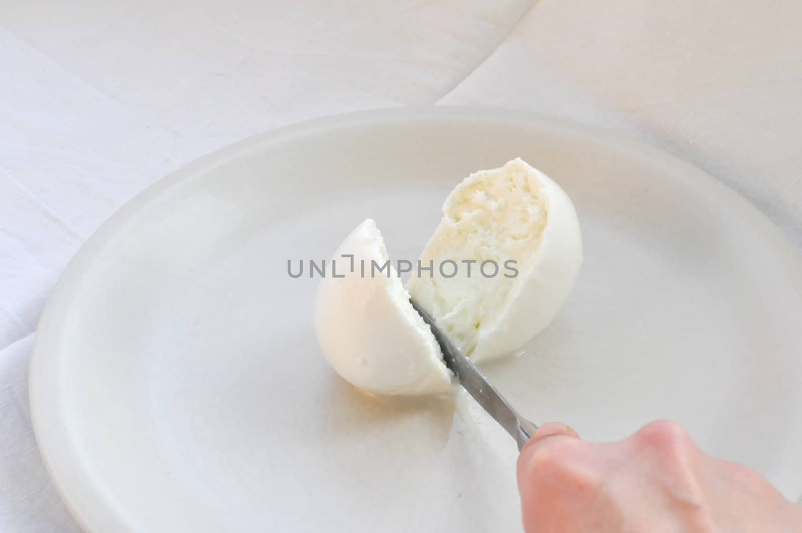 Cook hand cutting traditional Italian mozzarella di bufala (buffalo mozzarella) cheese made from buffalo milk