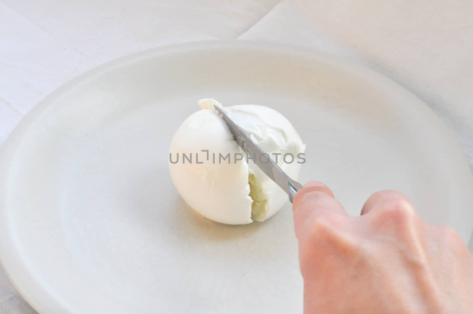 Cook hand cutting traditional Italian mozzarella di bufala (buffalo mozzarella) cheese made from buffalo milk