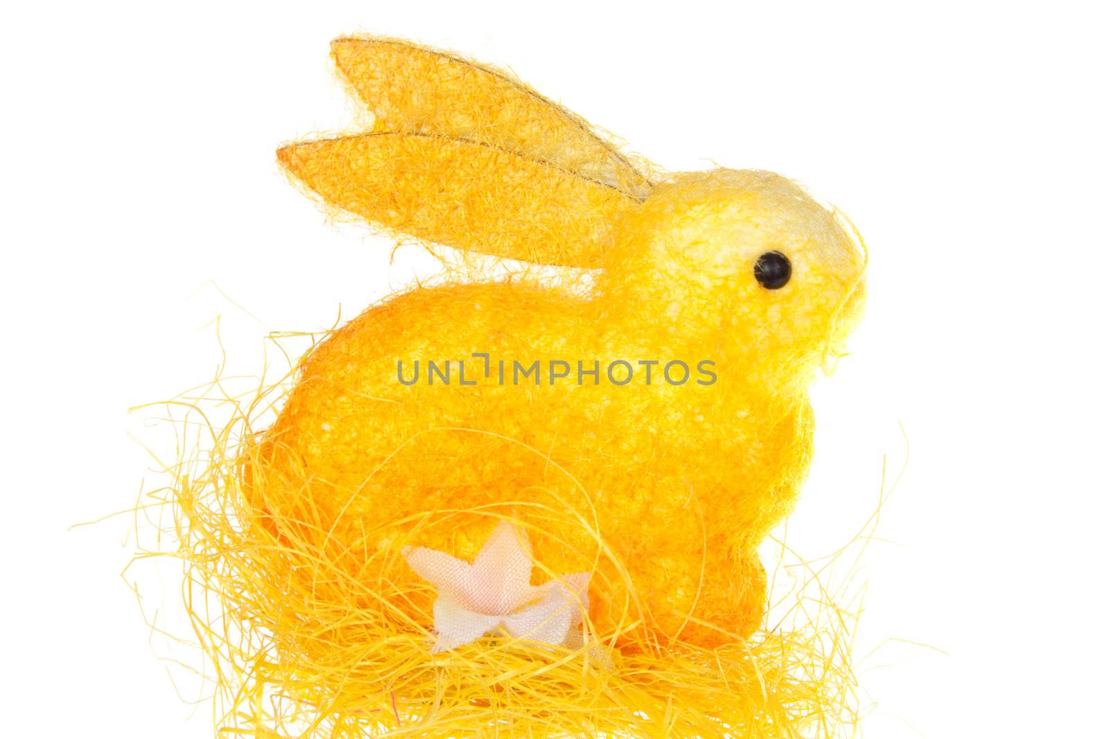 Easter hare, isolated on white