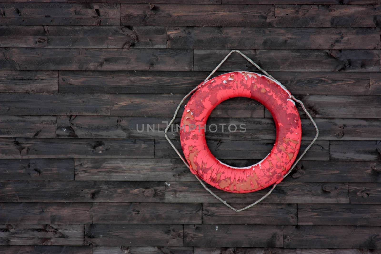 Old life preserver on the wall of brown boards.