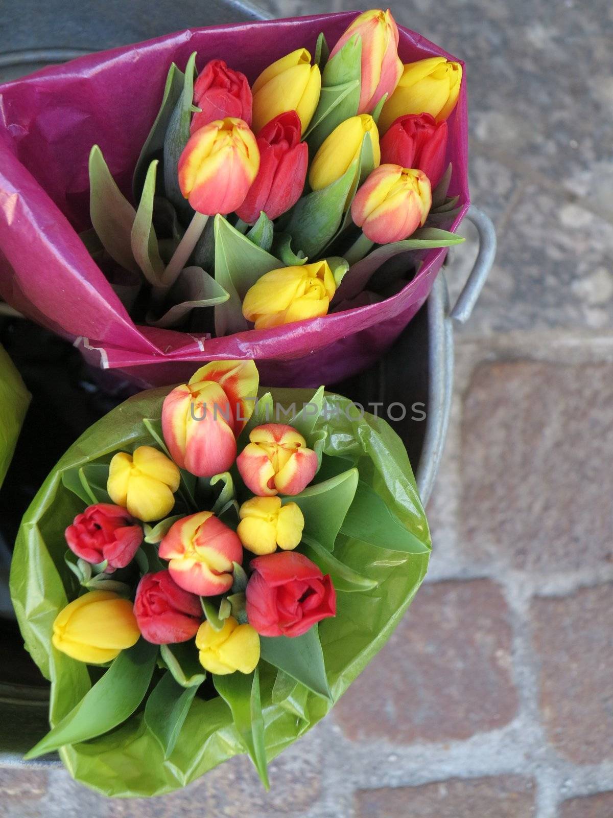 Bouquet of tulips by yucas