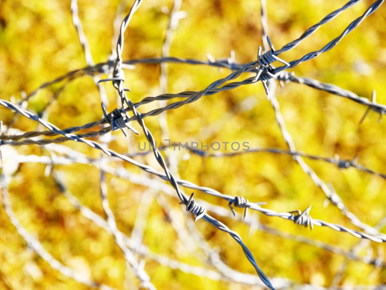 the metal wire on green background