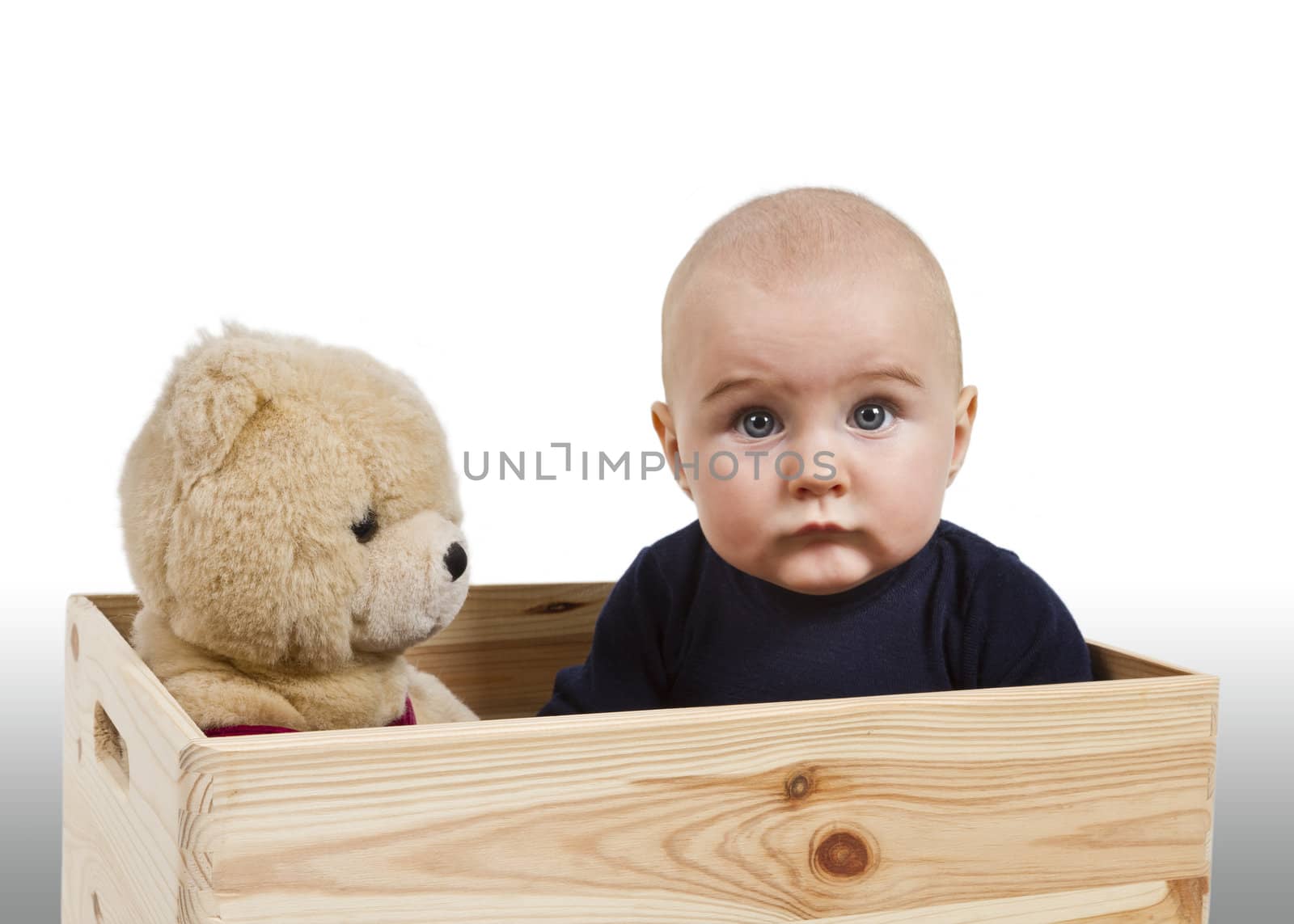 young child with toy in wooden box. white background