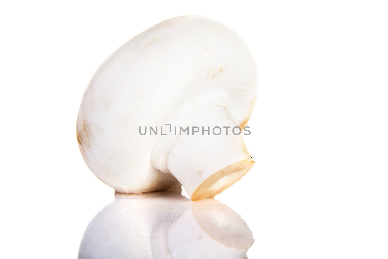 Edible button mushroom, champignon, isolated on white background