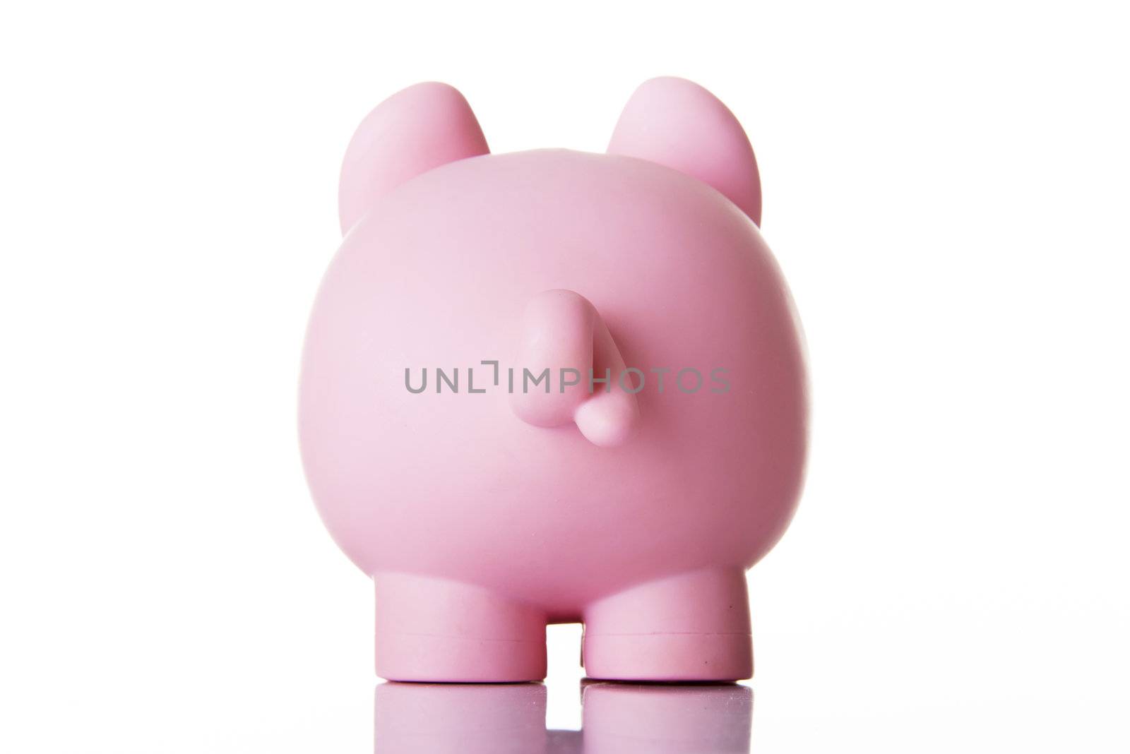 Piggy bank back. by BDS