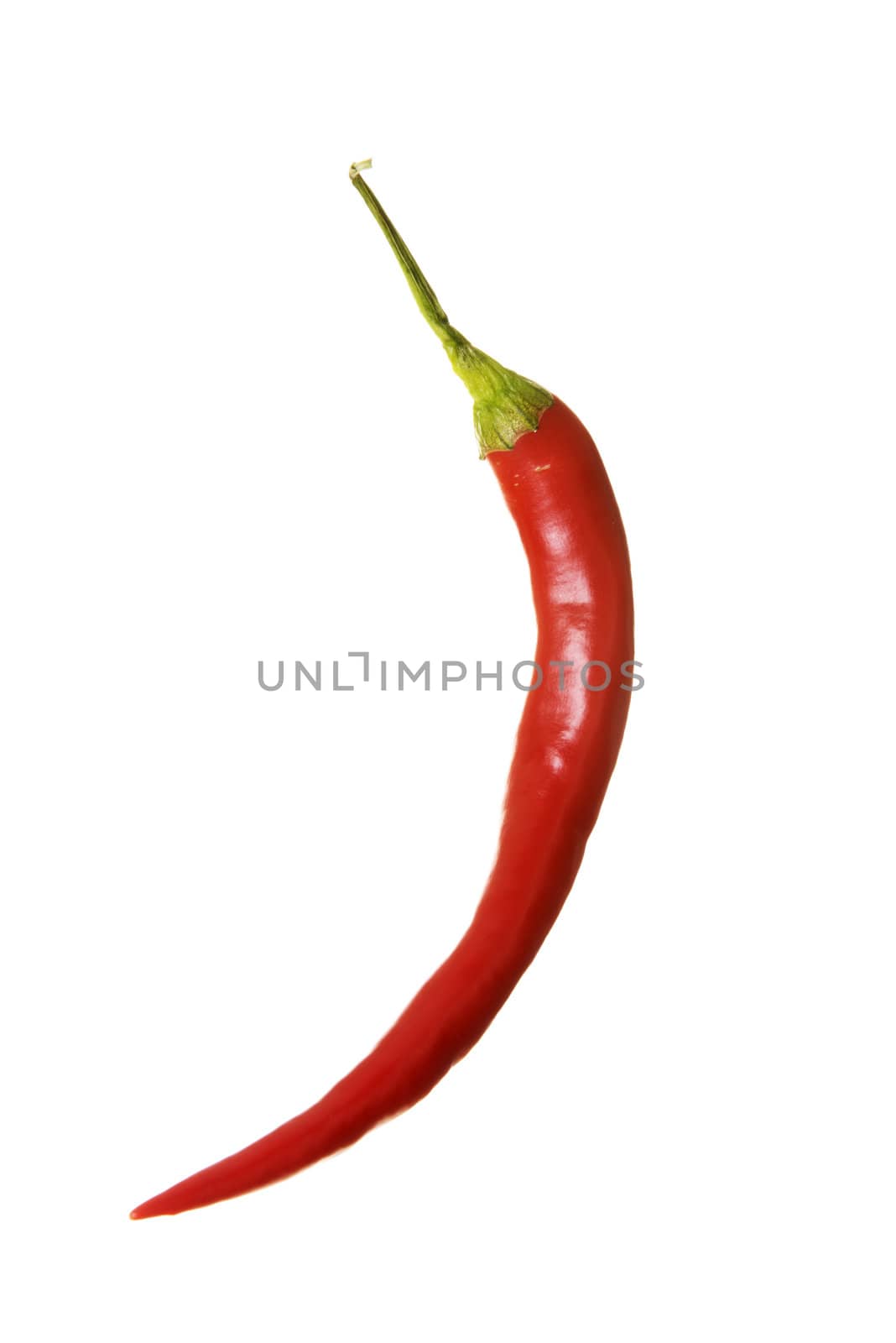 Red hot chilie peppers, isolated on white