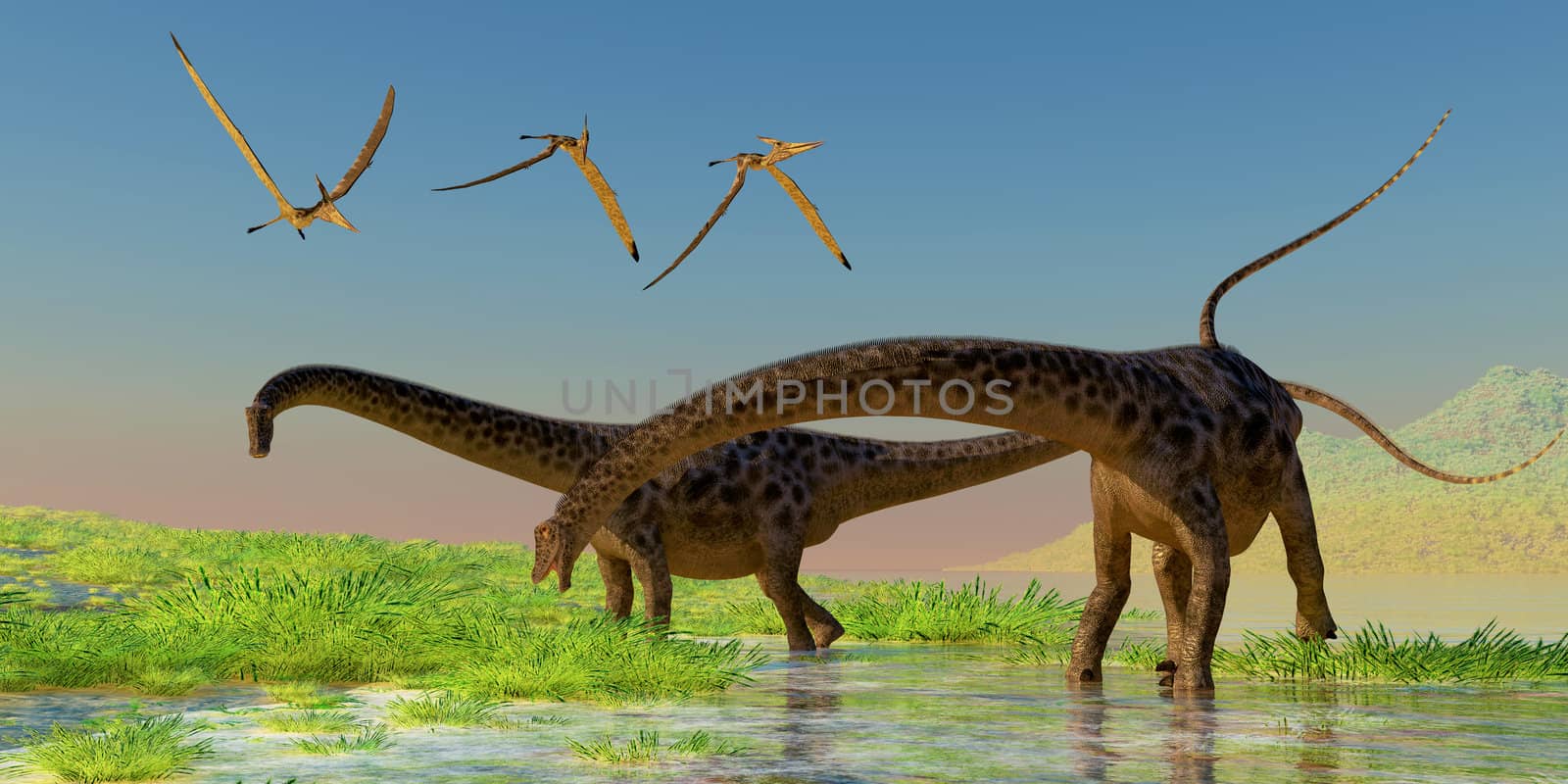 Diplodocus Feeding by Catmando