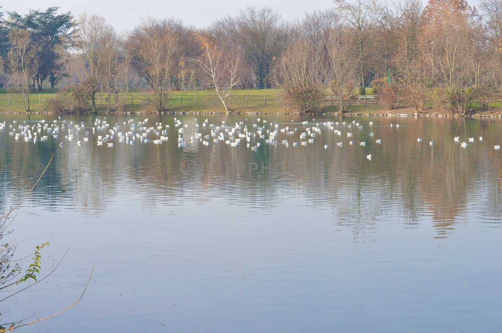 Fiume Po (River Po) in Turin Italy