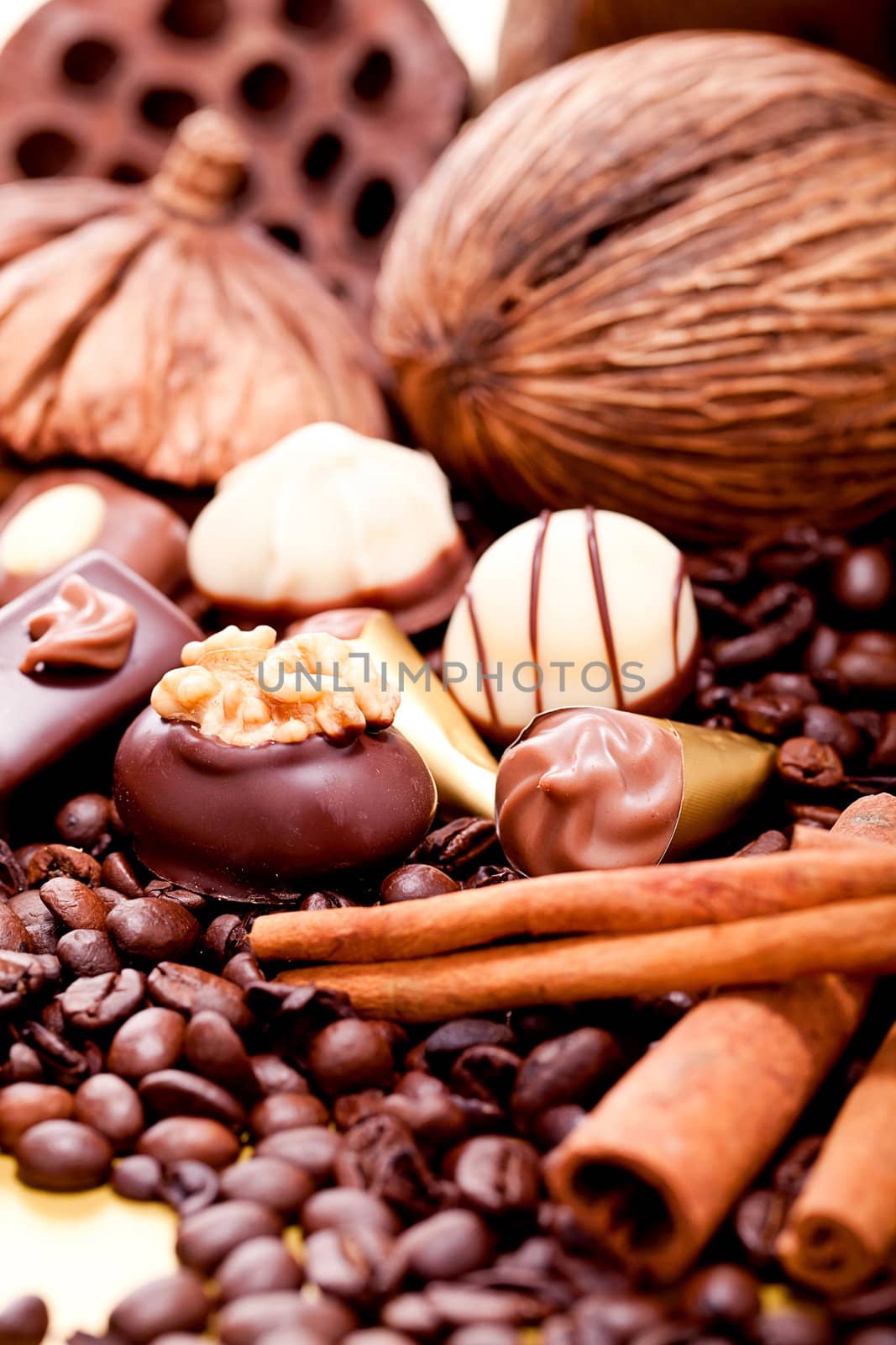 collection of different chocolate pralines truffels on golden brown background macro