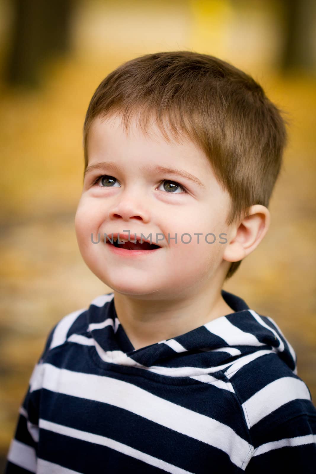 Portrait of a cute brown-haired little boy with blue eyes grinning with autumn trees in the background