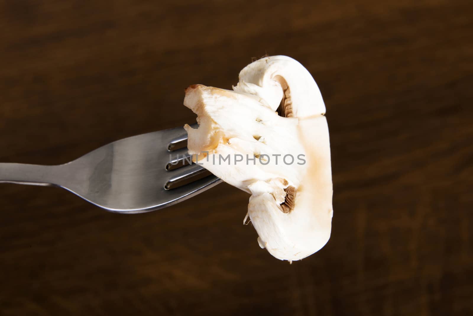 Edible button mushroom, champignon