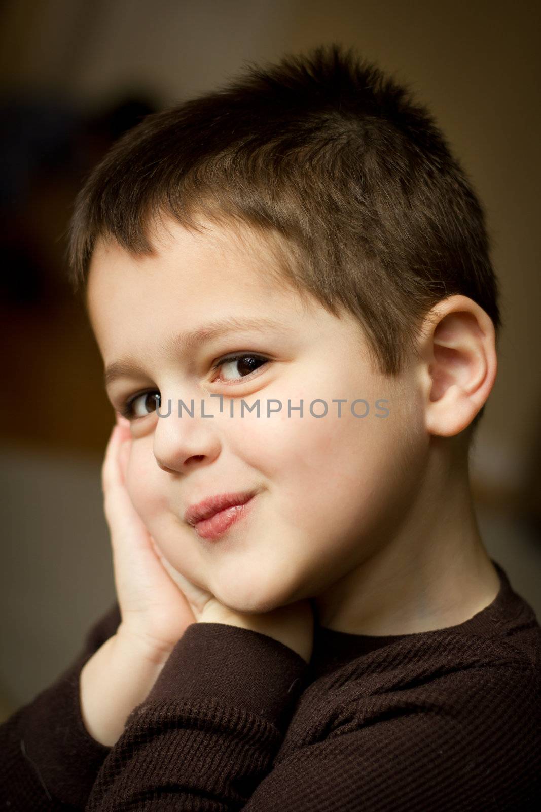 Portrait of a cute little boy with a mischievous expression on his face and his hands pressed to the side of his face.  He has brown hair and brown eyes.