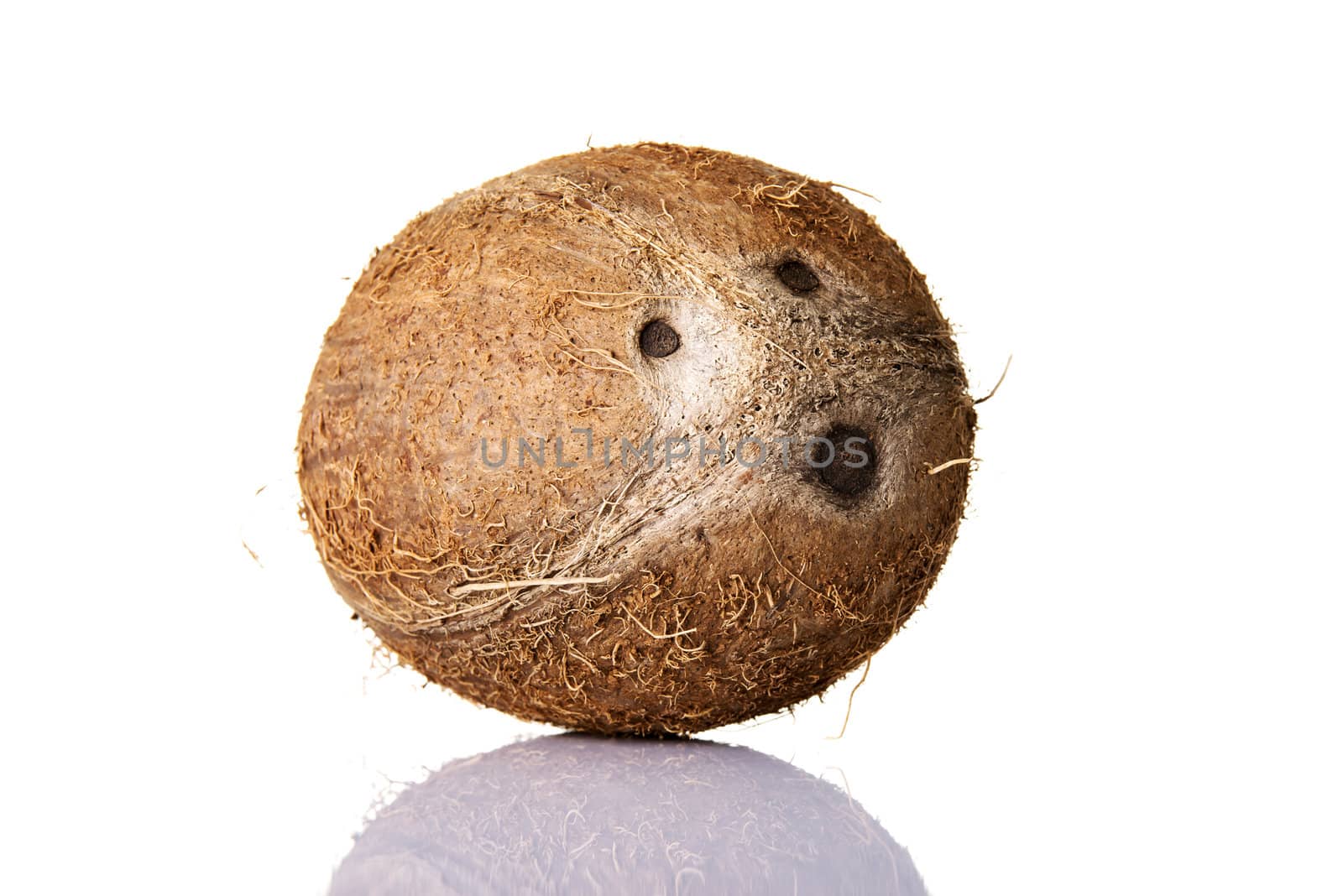 Coconut by BDS