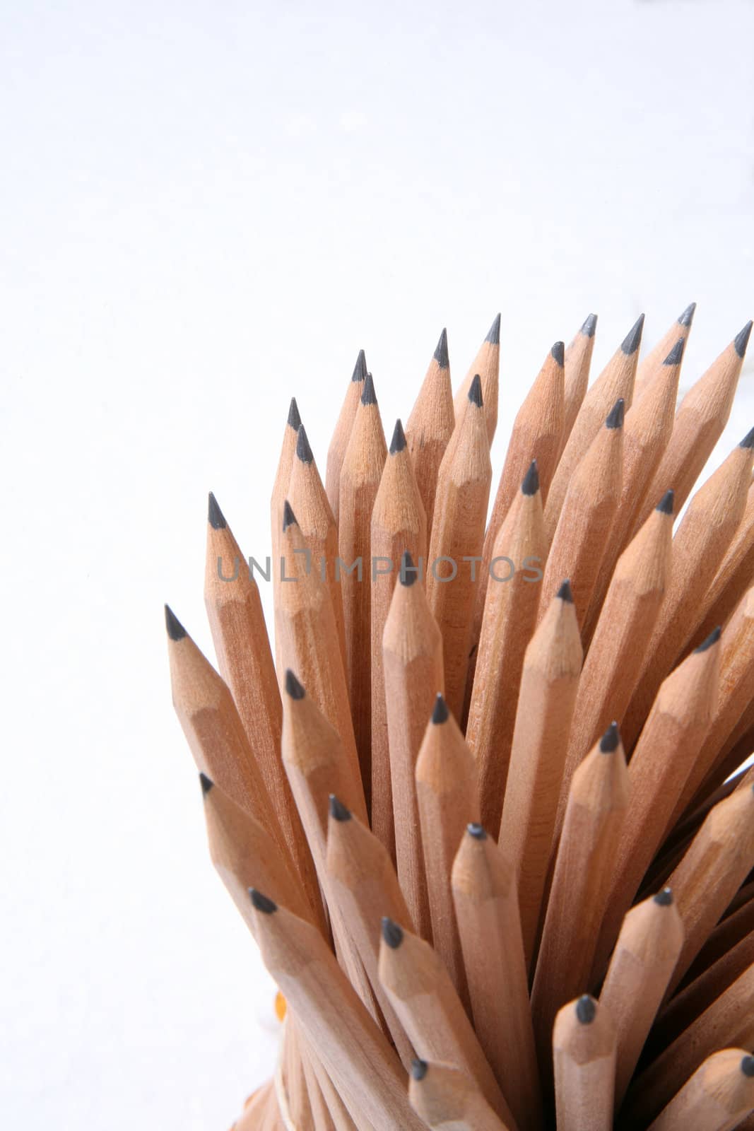 Bunch of pencils isolated on white