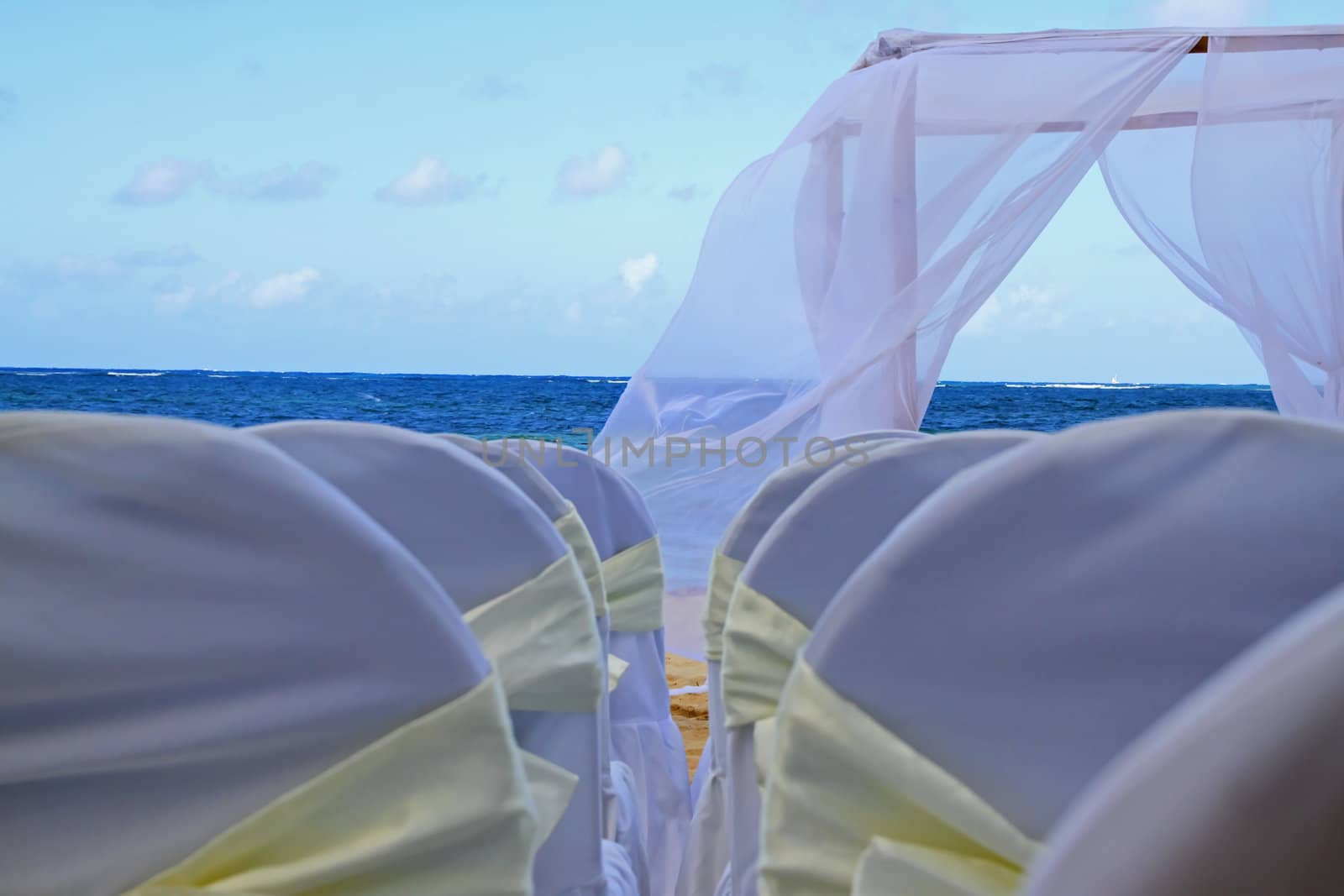 Ribons on chairs laid out for a tropical wedding