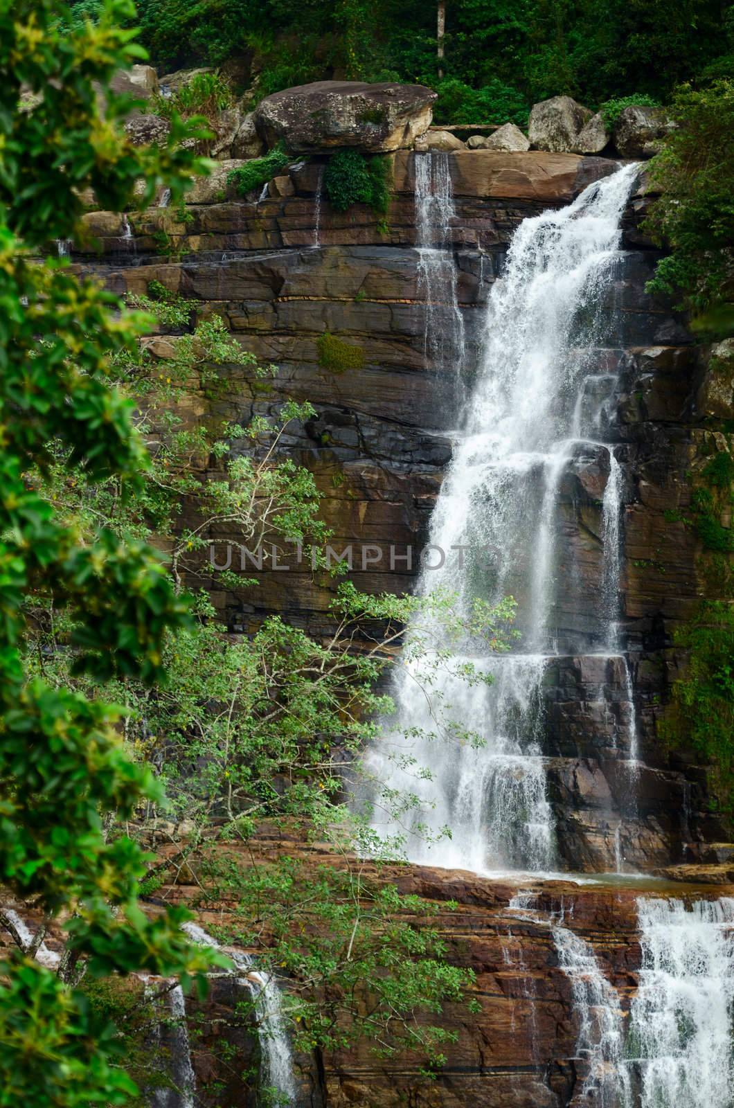 Large waterfalls in green tropical forest at Nuwara Eliya, Sri Lanka. 