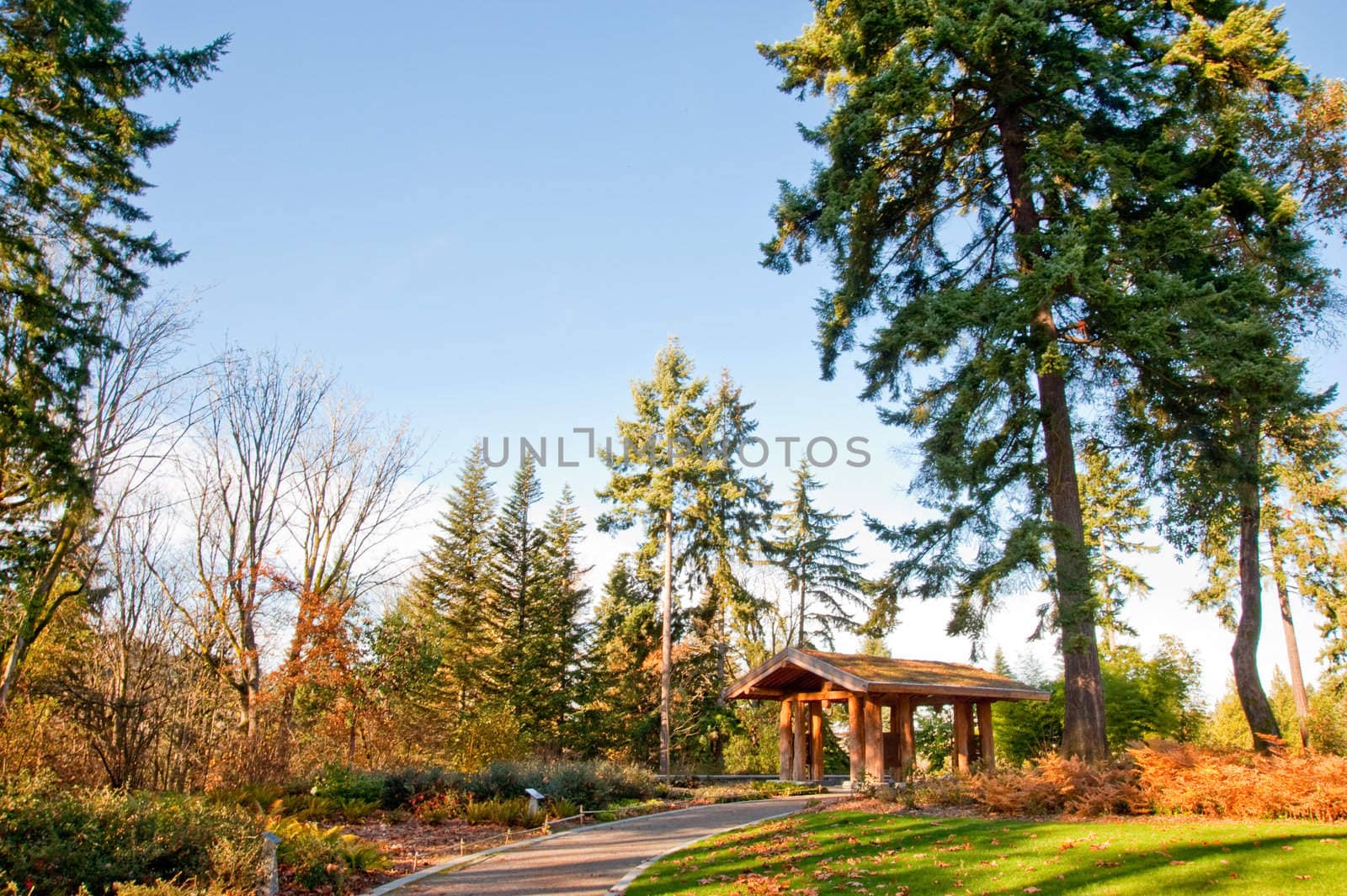 Washington Park Arboretum in Seattle