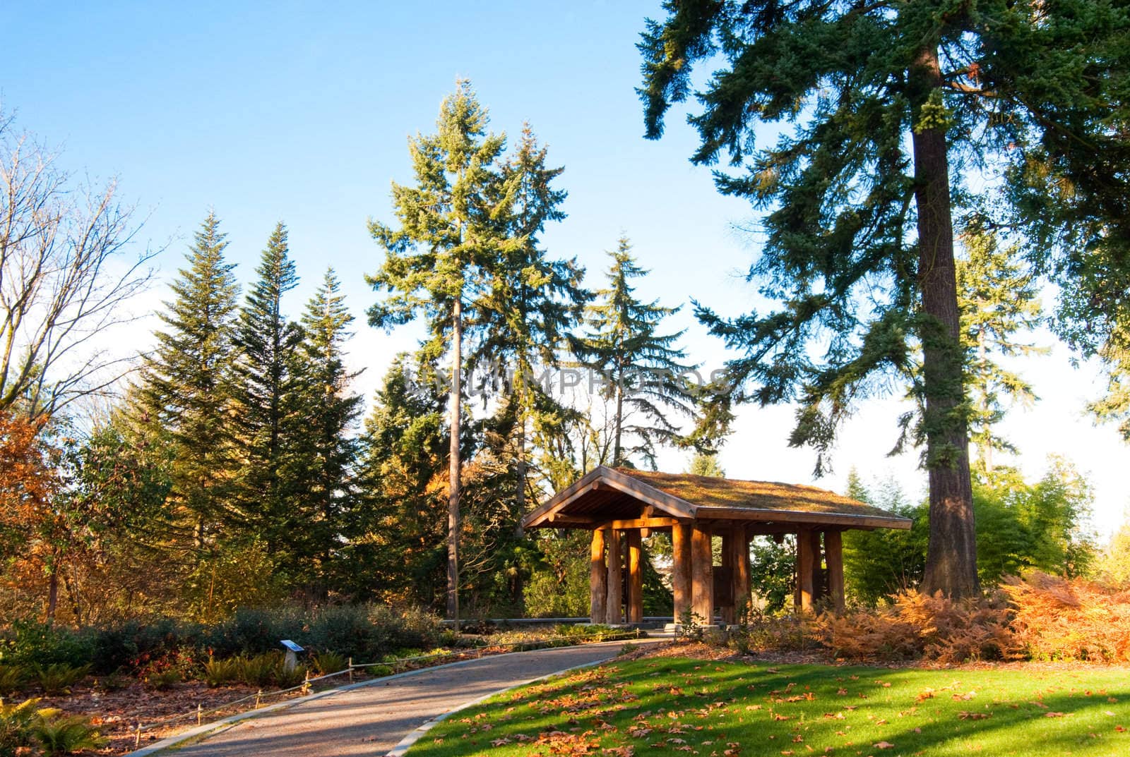 Washington Park Arboretum in Seattle