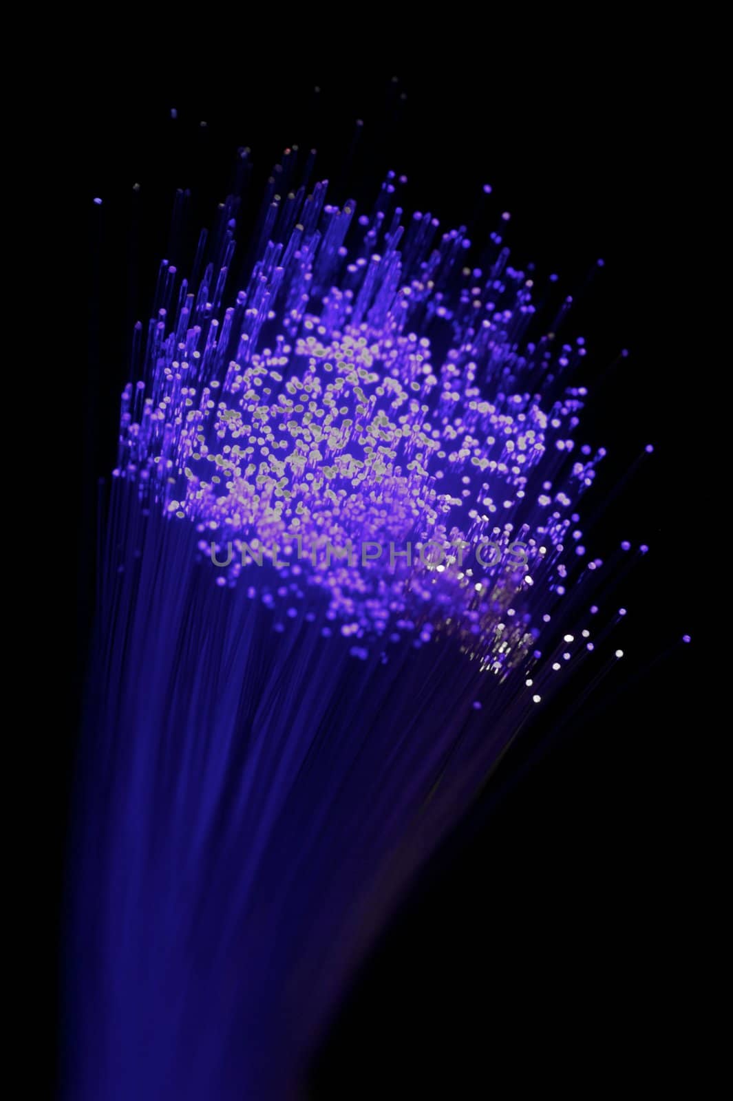 Fibre Optics by Kitch