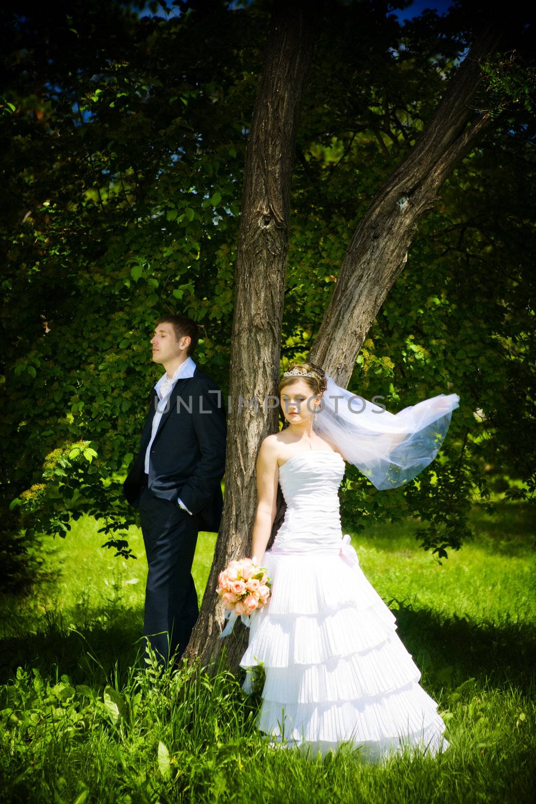 newly-married couple near the tree