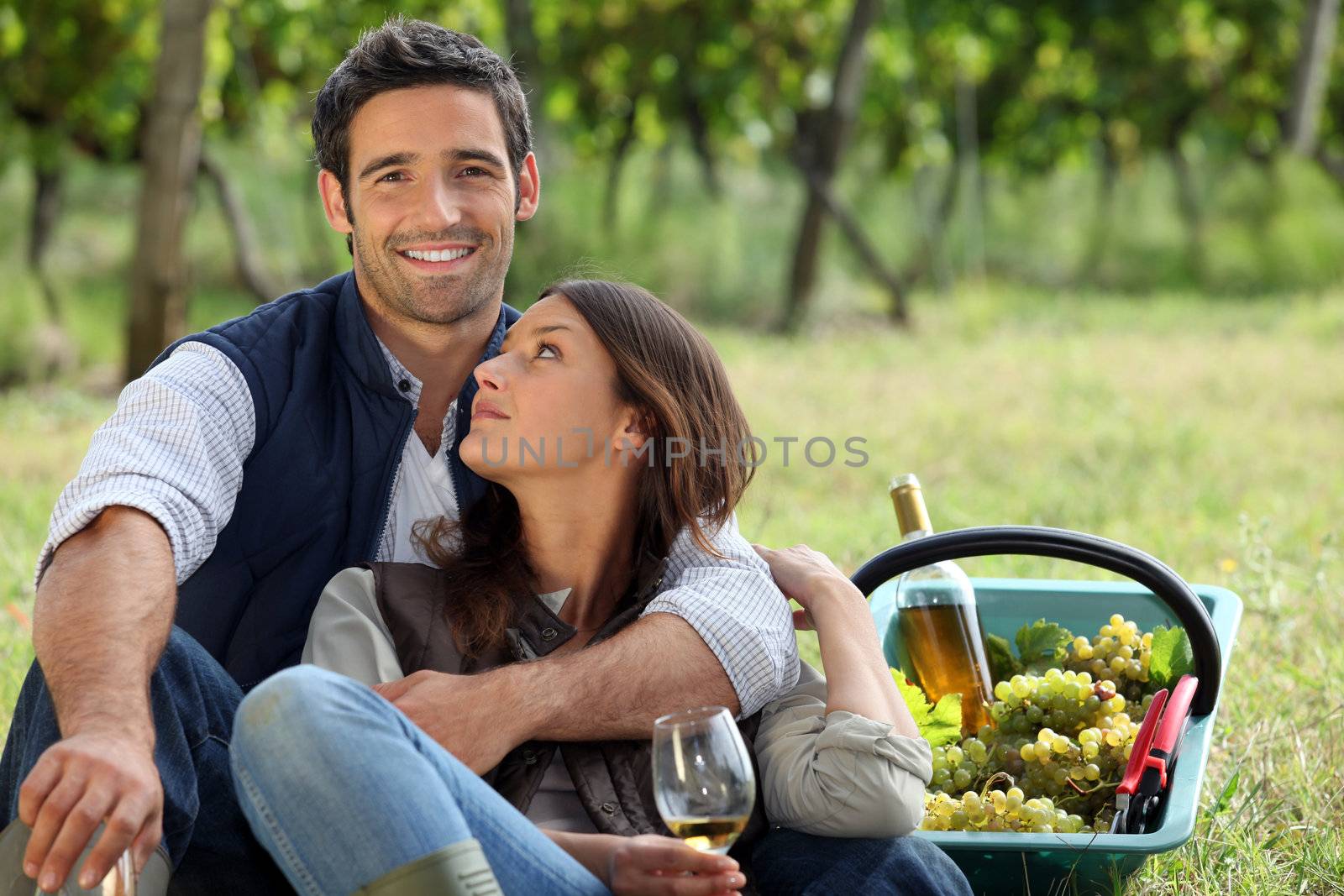 Romantic man and woman picking grapes and drinking wine by phovoir