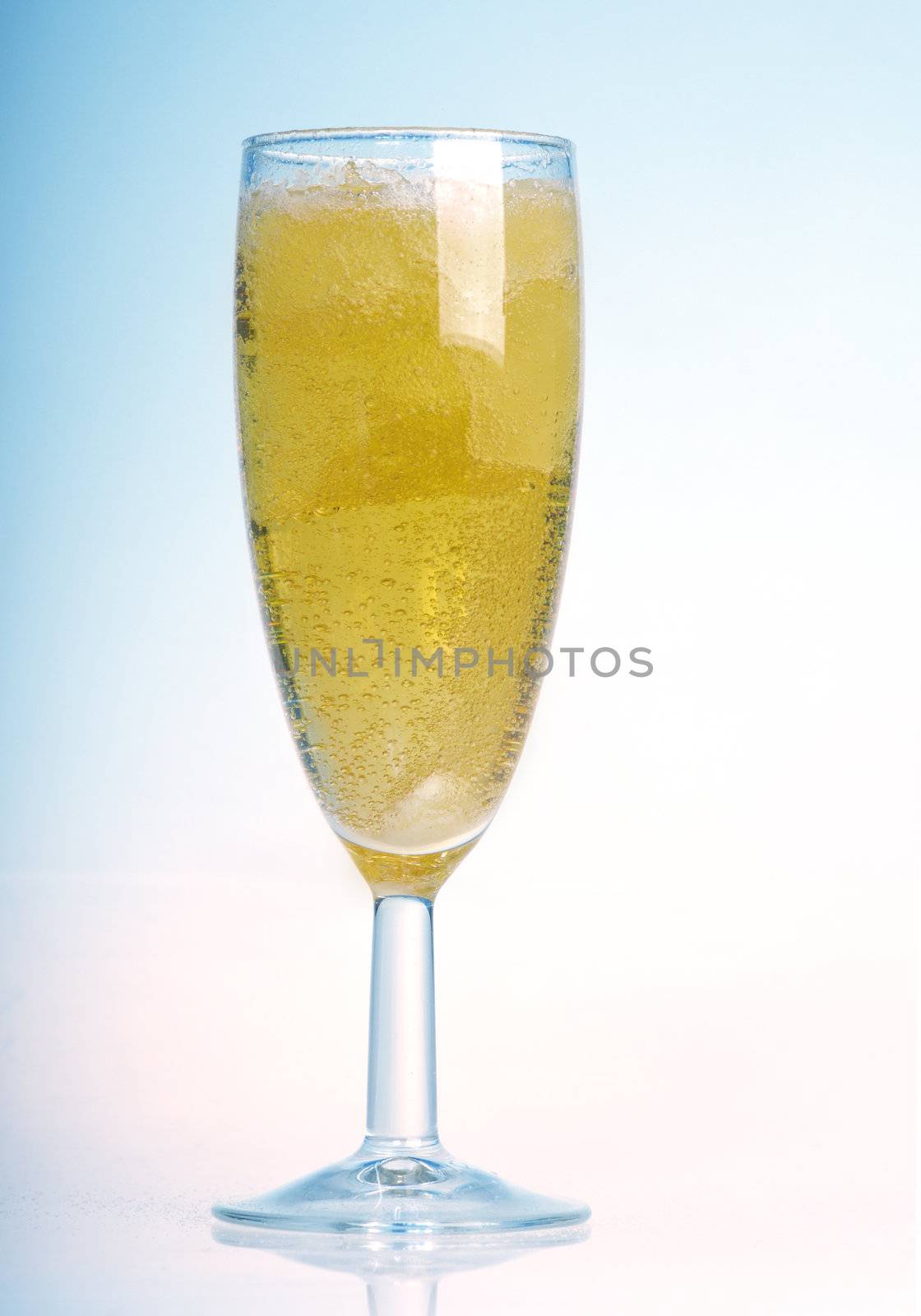  bubbles in a glass of champagne  by Fanfo