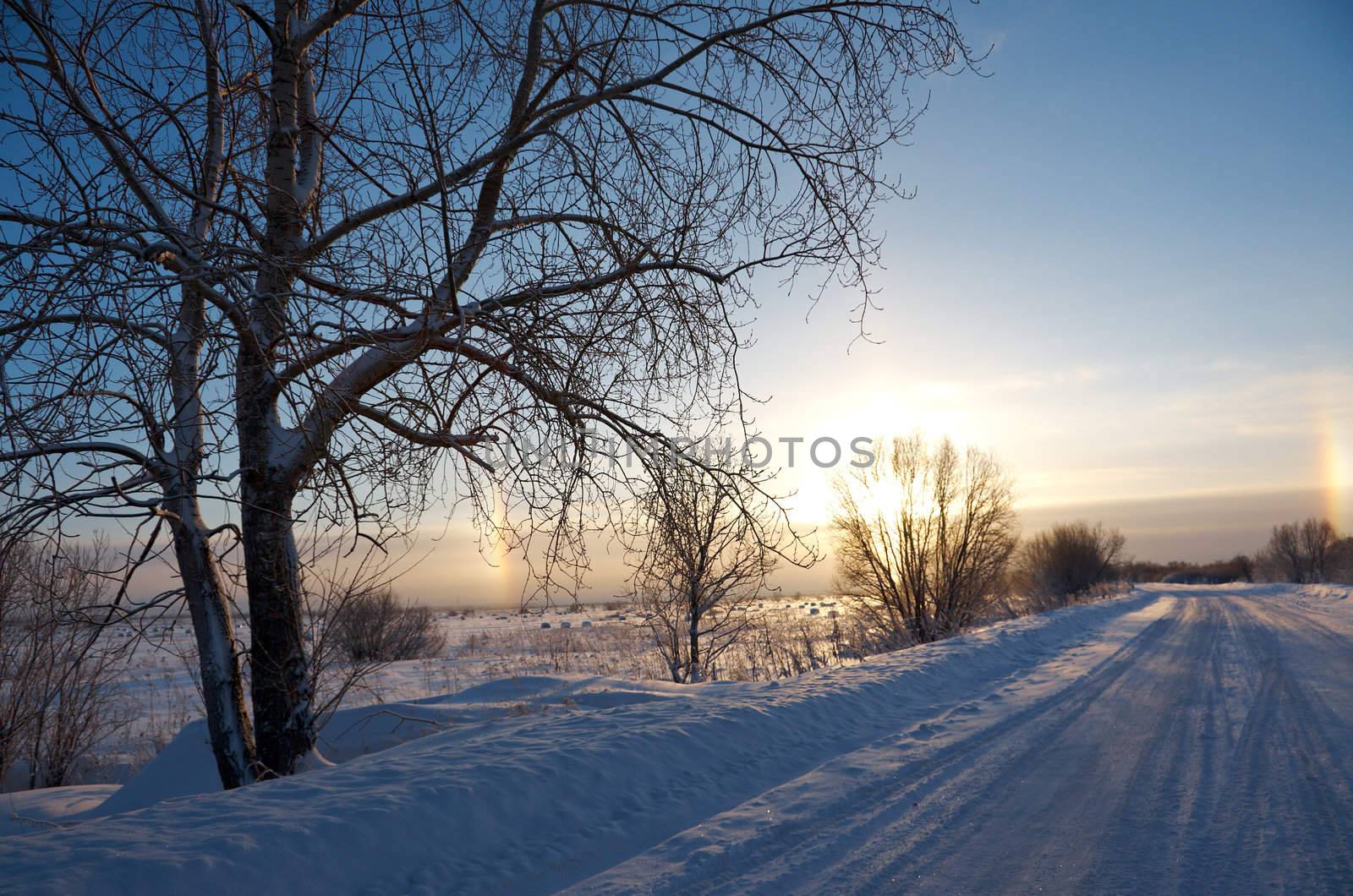 Road in a countryside in sunny winter rainbow day.Frozen trees in snowy field
