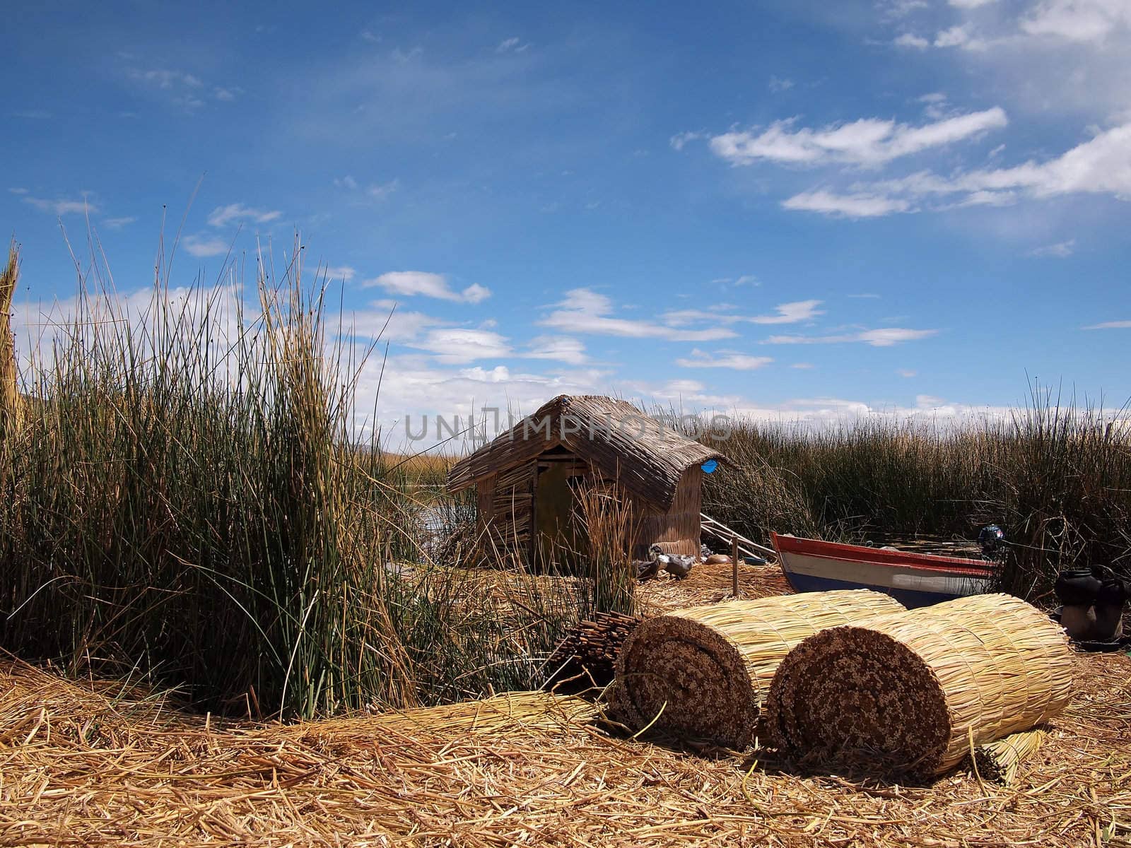 Hut made of reed and lots of drying reed on one of the floating Uros islands inside Lake Titicaca, Peru. The Uros islands are made of reed and they float on top of the lake.
