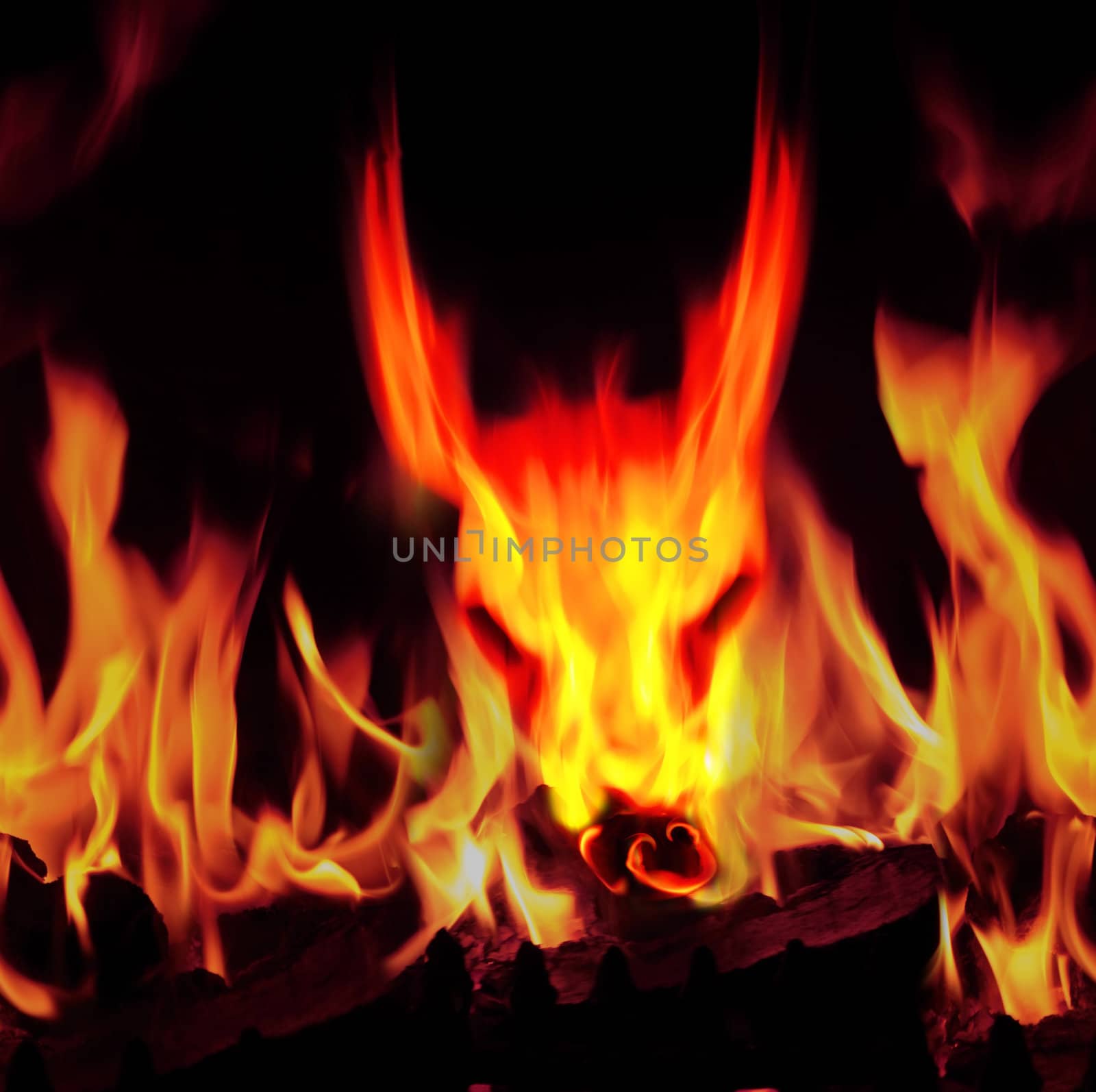 bright flames with a face of a beast from hells flames