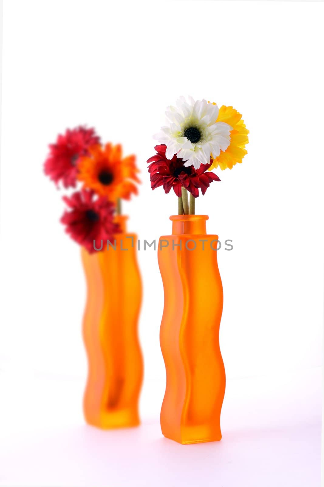 a beautiful flowers on a vase isolated on white