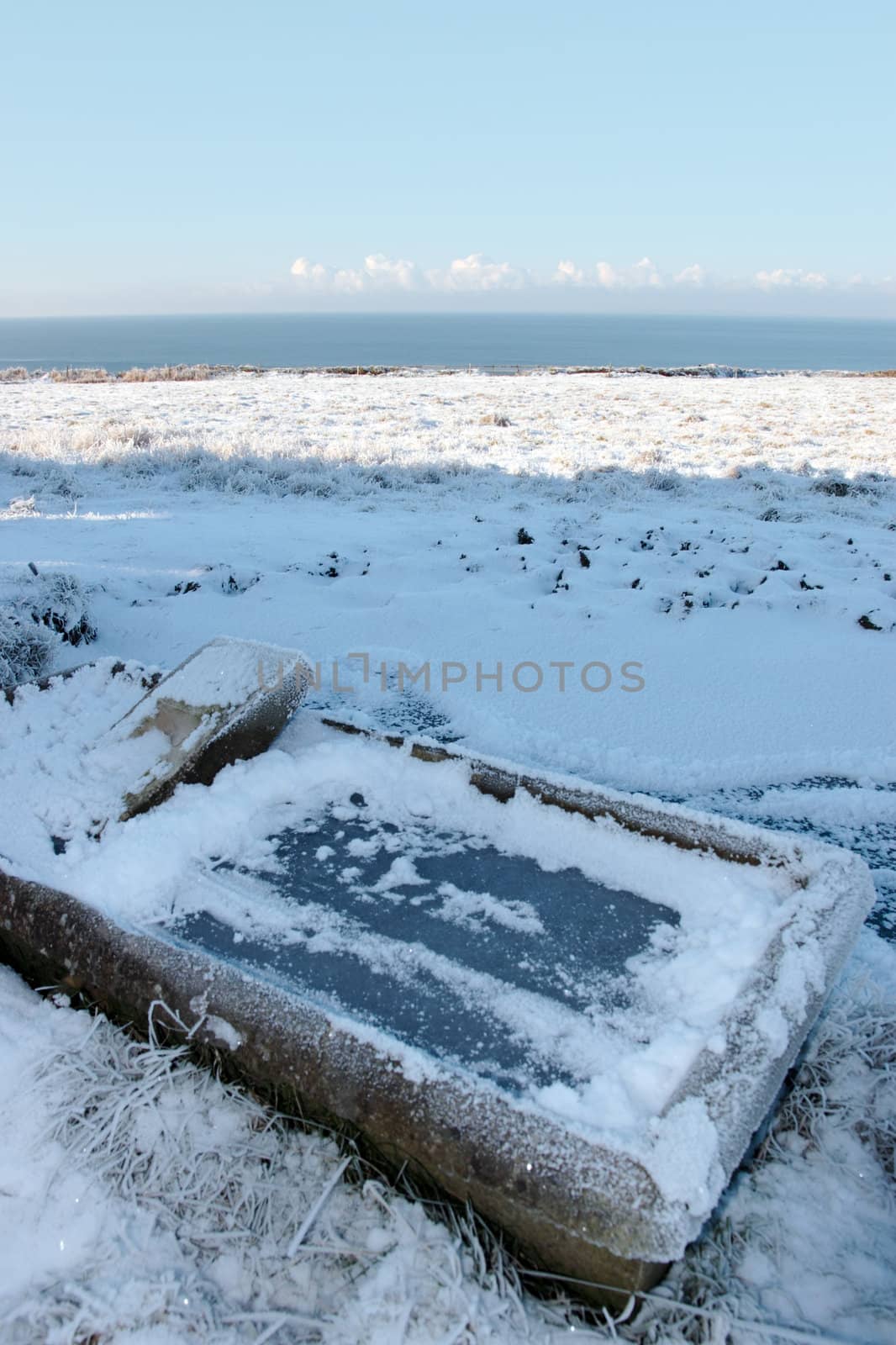 frozen animal feeder on a frosty blue winters day on ballybunion cliffside walk