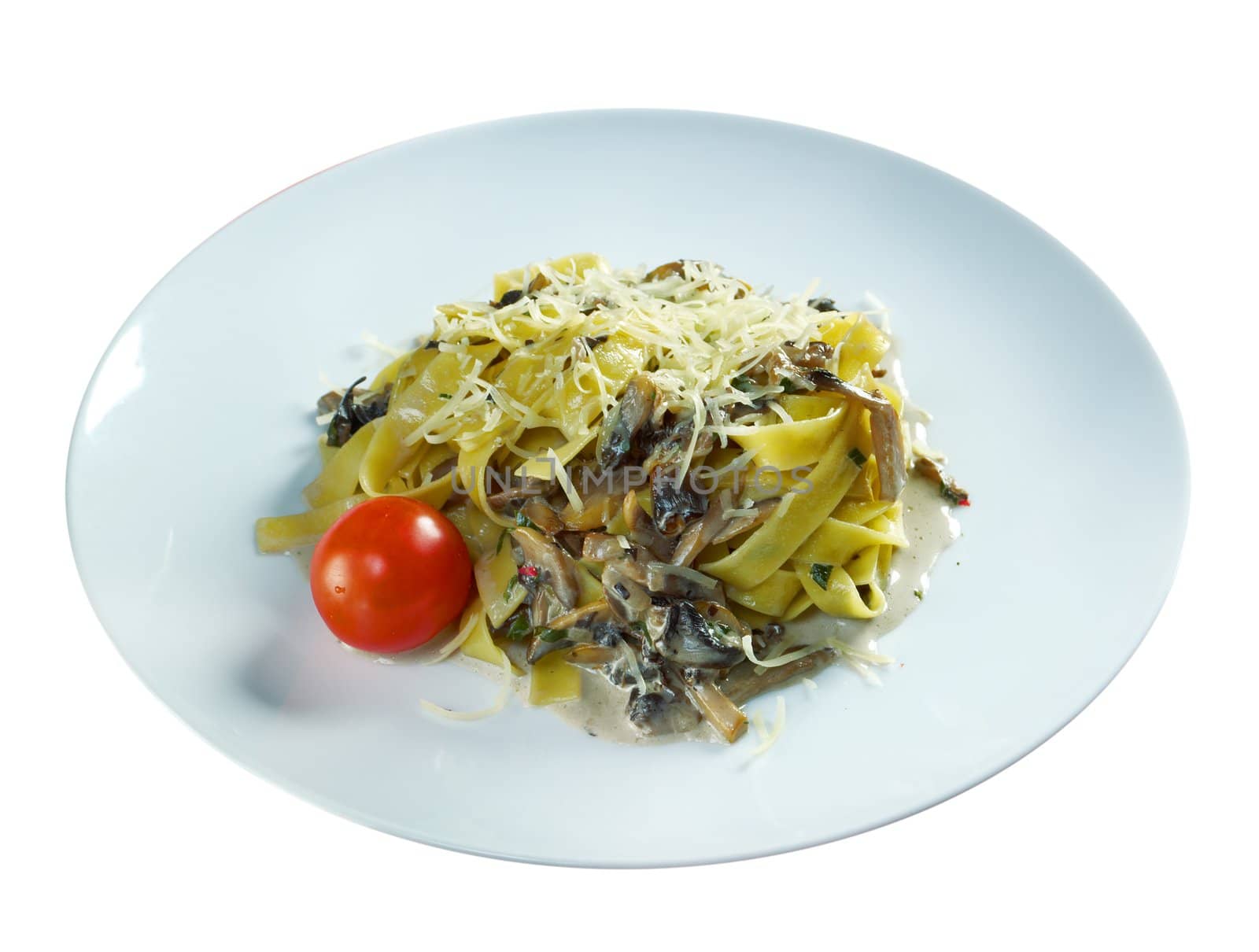 Pasta with mushroom sauce .close up shot