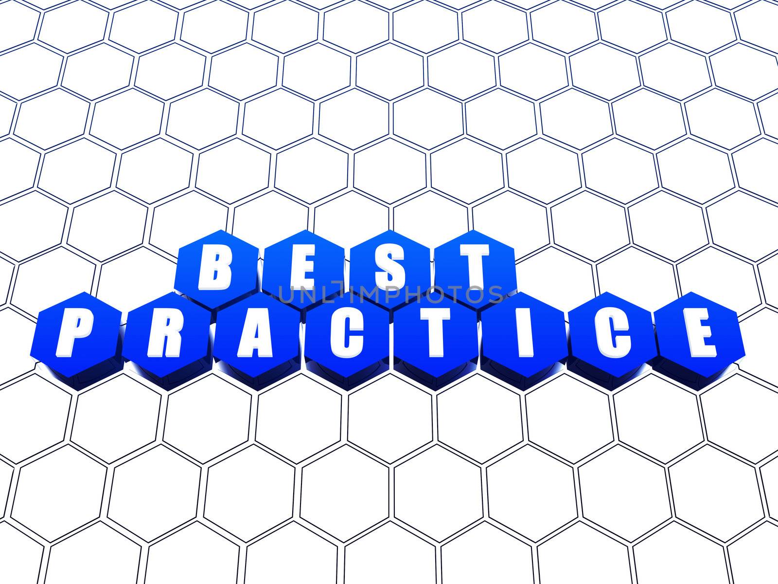 Best practice blue hexagons over white net