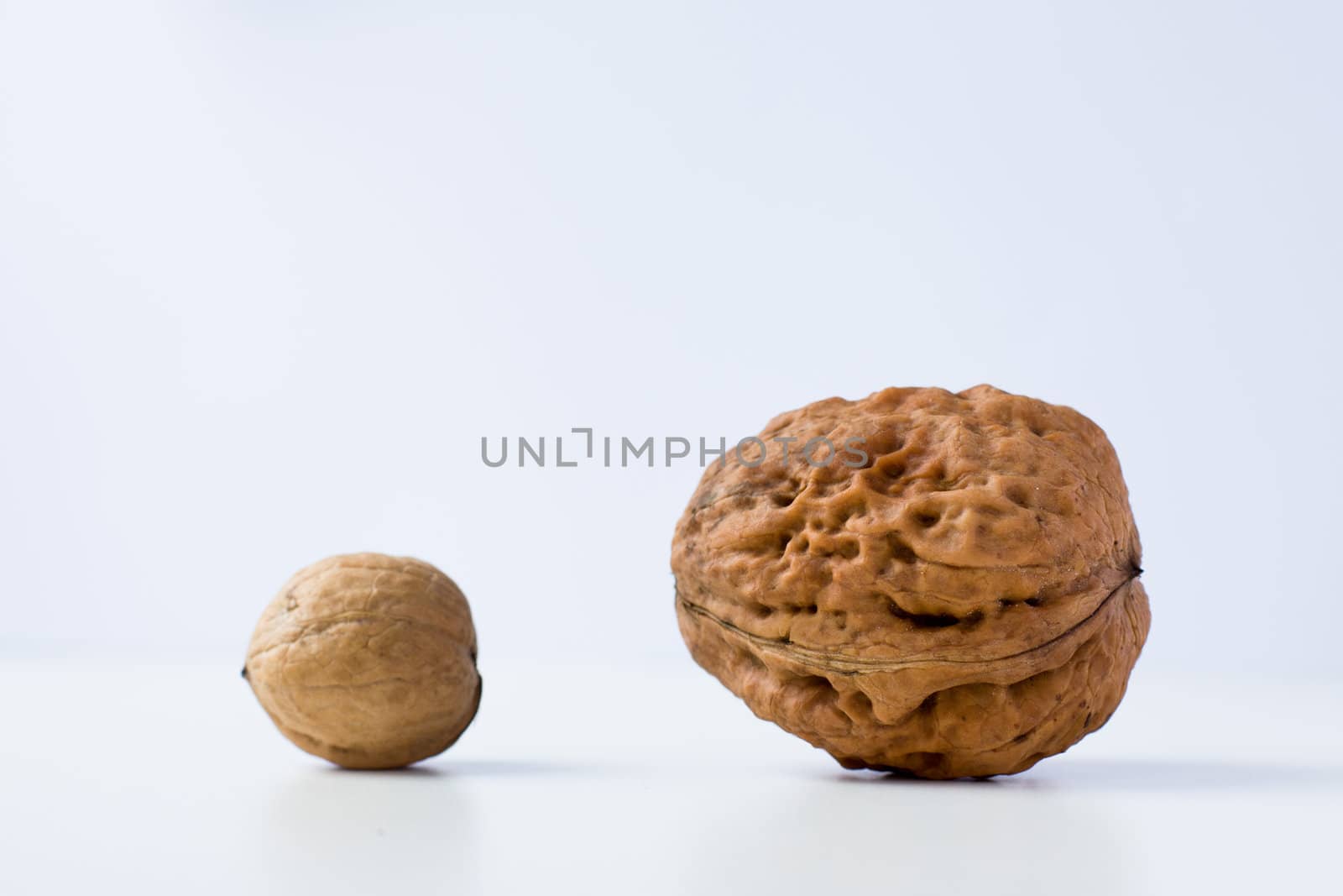 Small and large walnuts on a white background