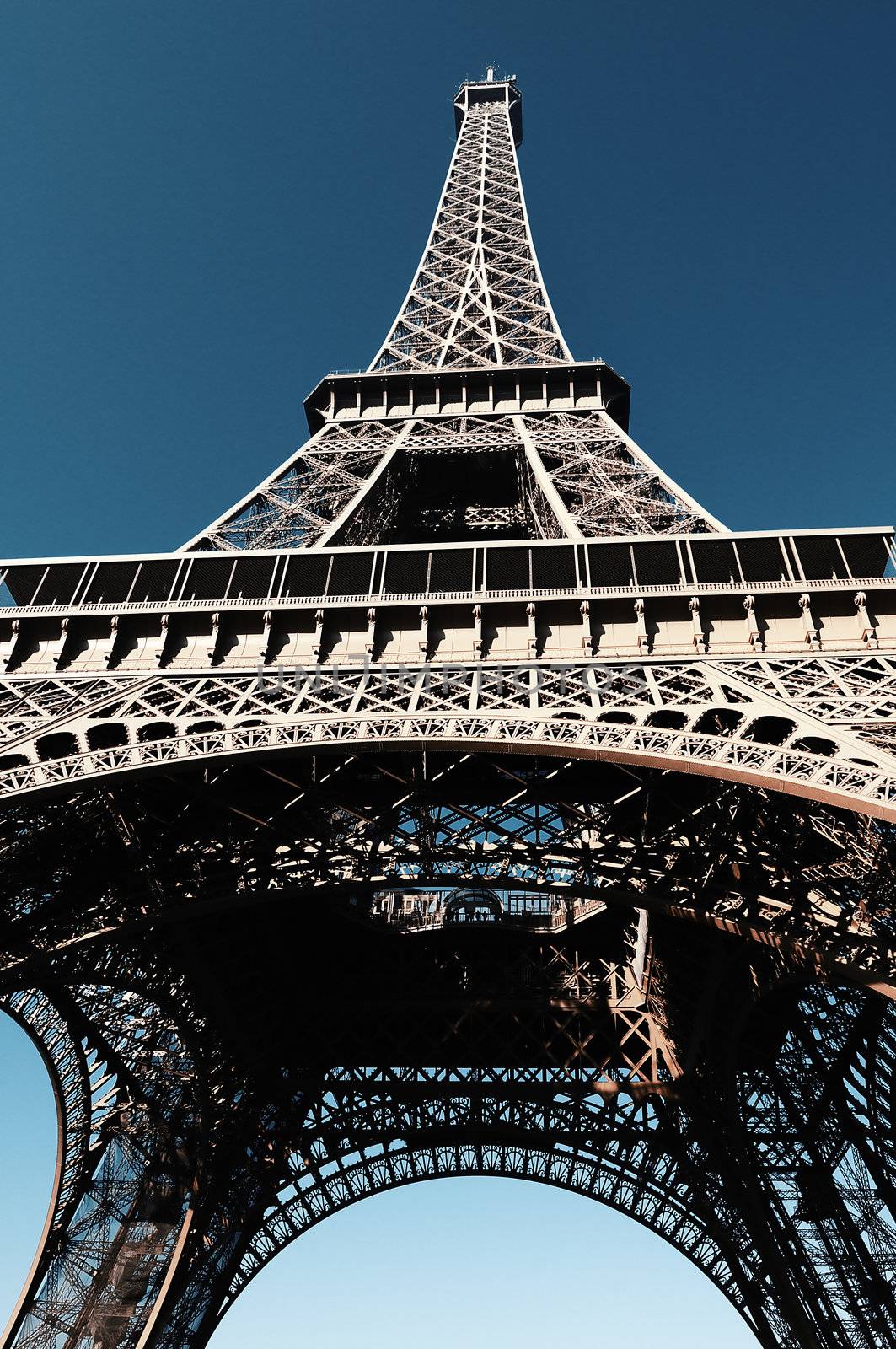 View at Eiffel Tower from the Champ de Mars (Field of Mars)