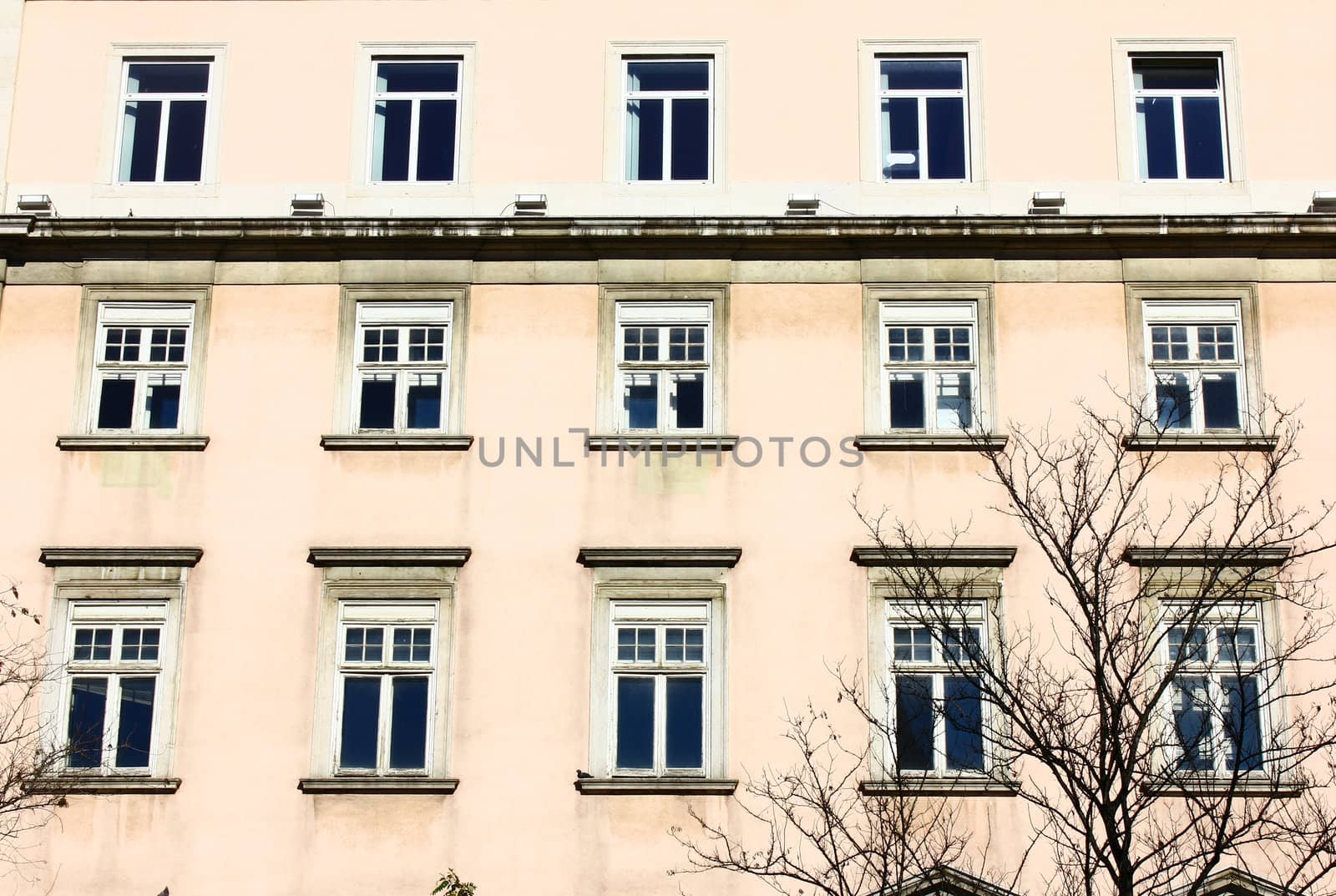 Detail of an old building at Lisbon, Portugal by tiagoladeira