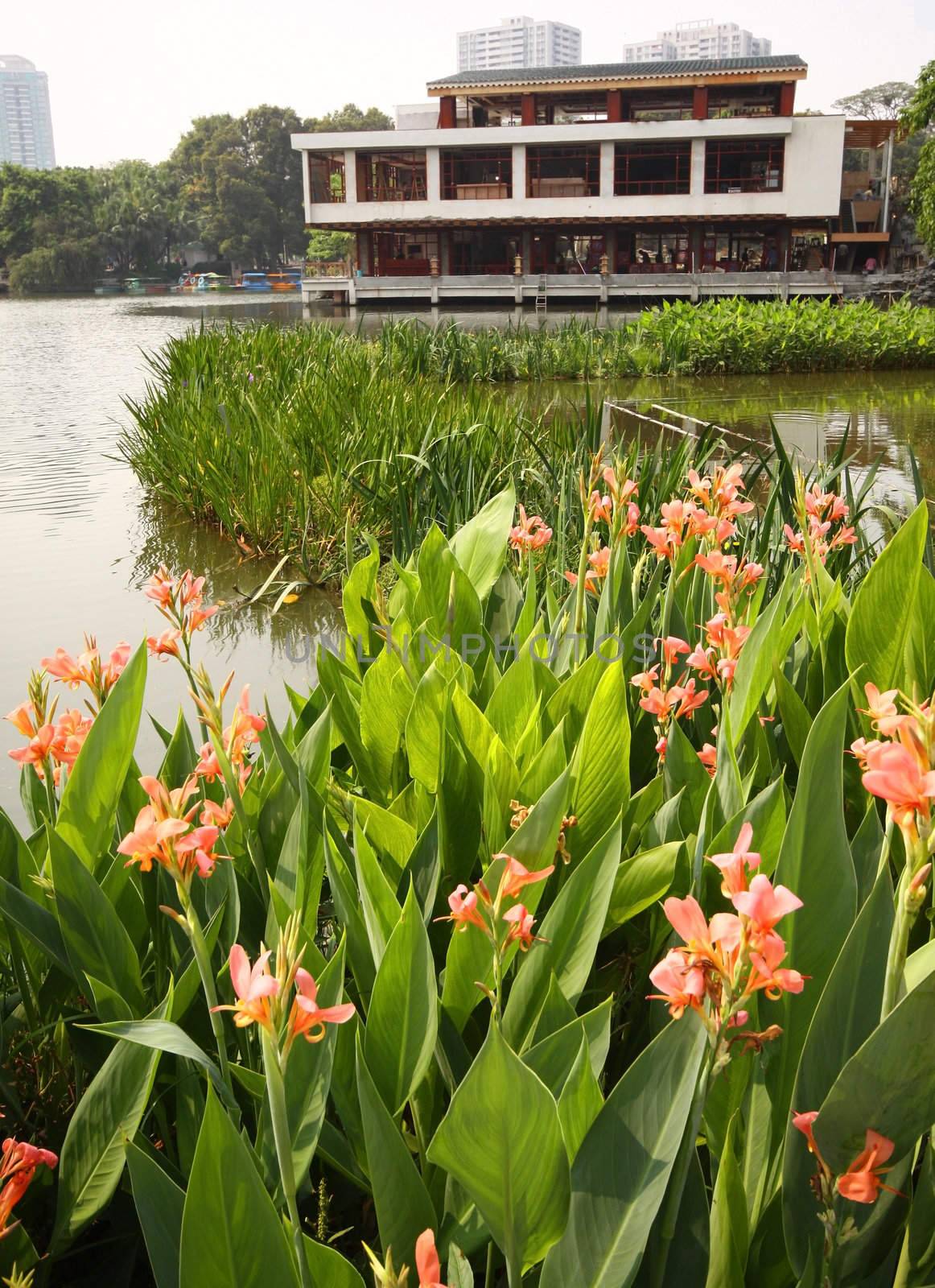 Flowers in garden