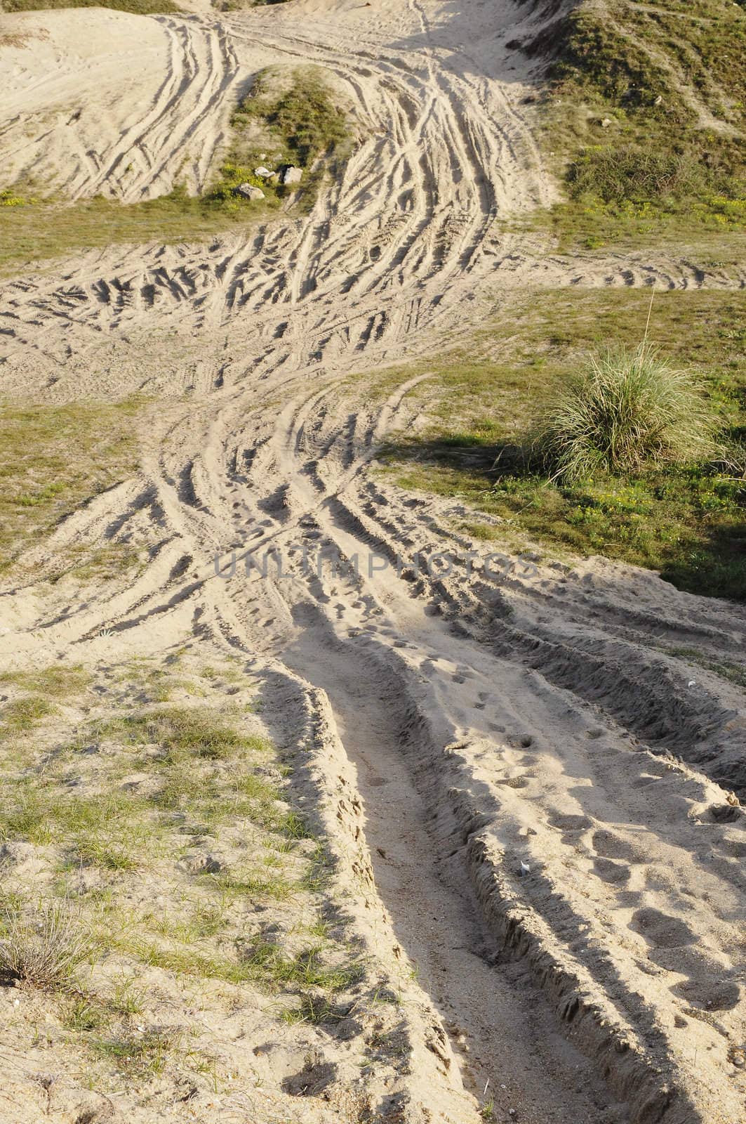 Many tyre traces in the sand dunes with little vegetation