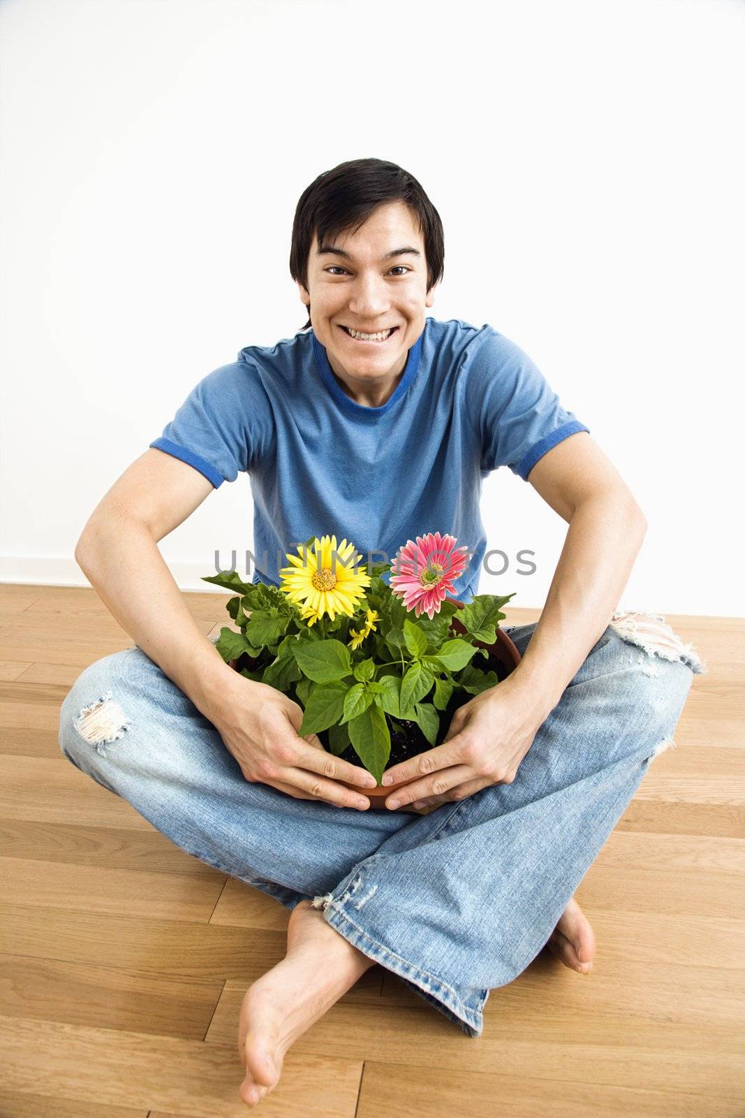 Asian man sitting holding pot of gerber daisies.