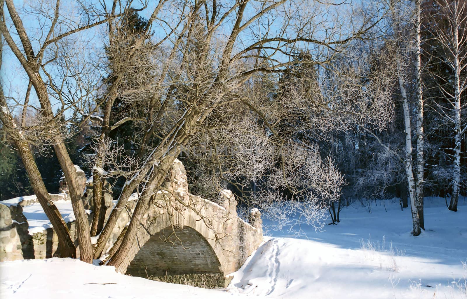 Old bridge and  hoarfrosted trees in sunny winter day
