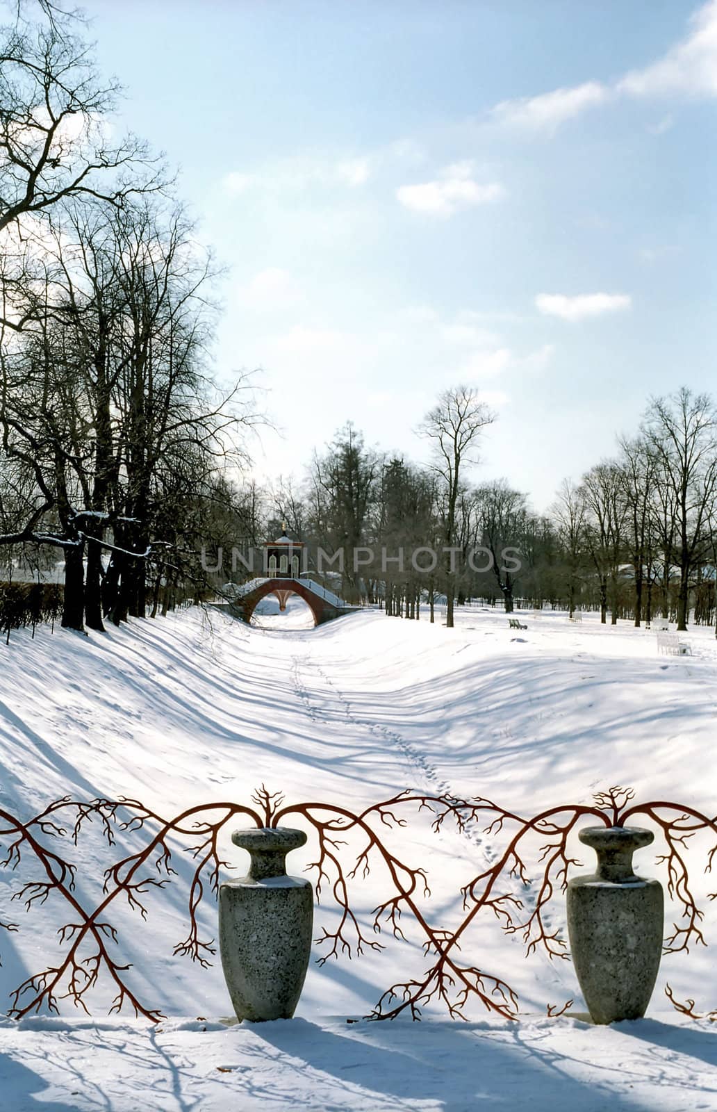 Vases and red branches in winter park